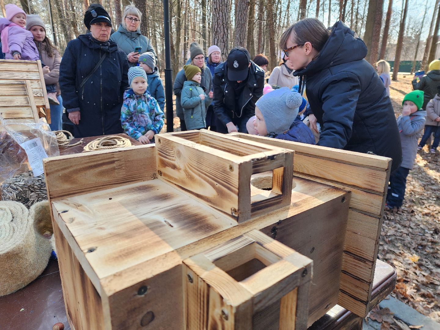 белки, природа, беличья тропа, шатурский парк, шатура,