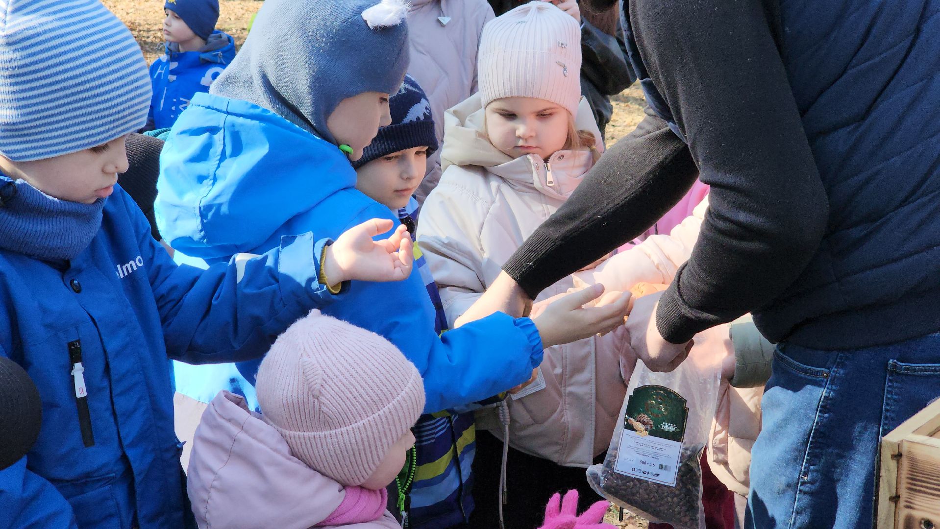 белки, природа, беличья тропа, шатурский парк, шатура,