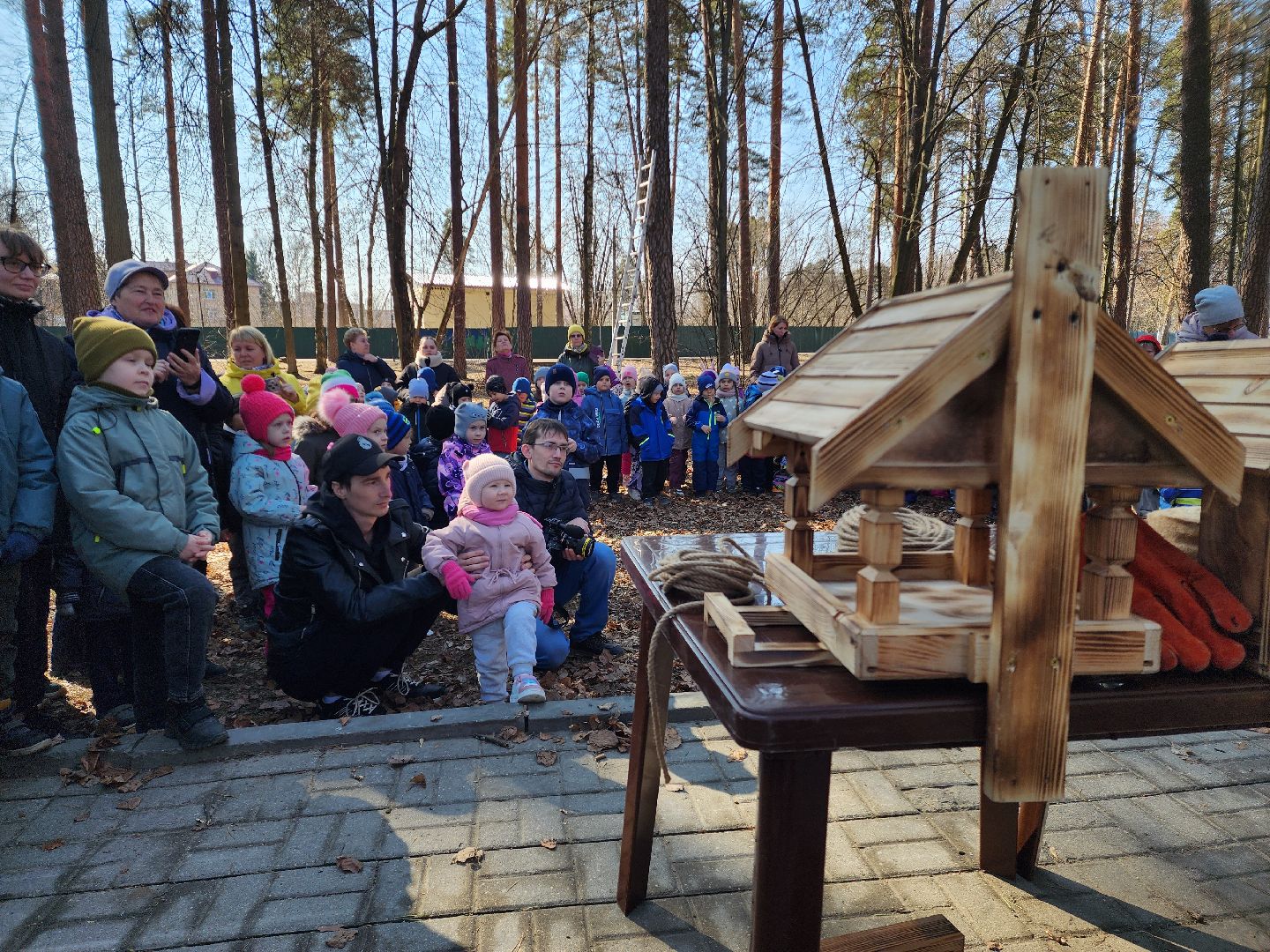 белки, природа, беличья тропа, шатурский парк, шатура,