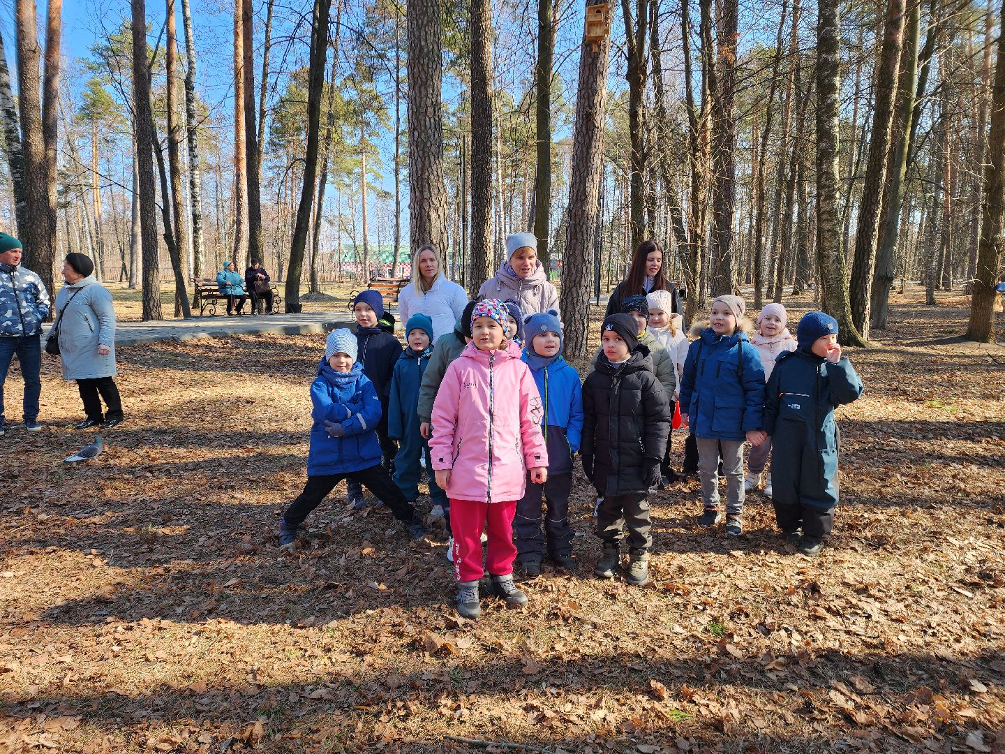 белки, природа, беличья тропа, шатурский парк, шатура,
