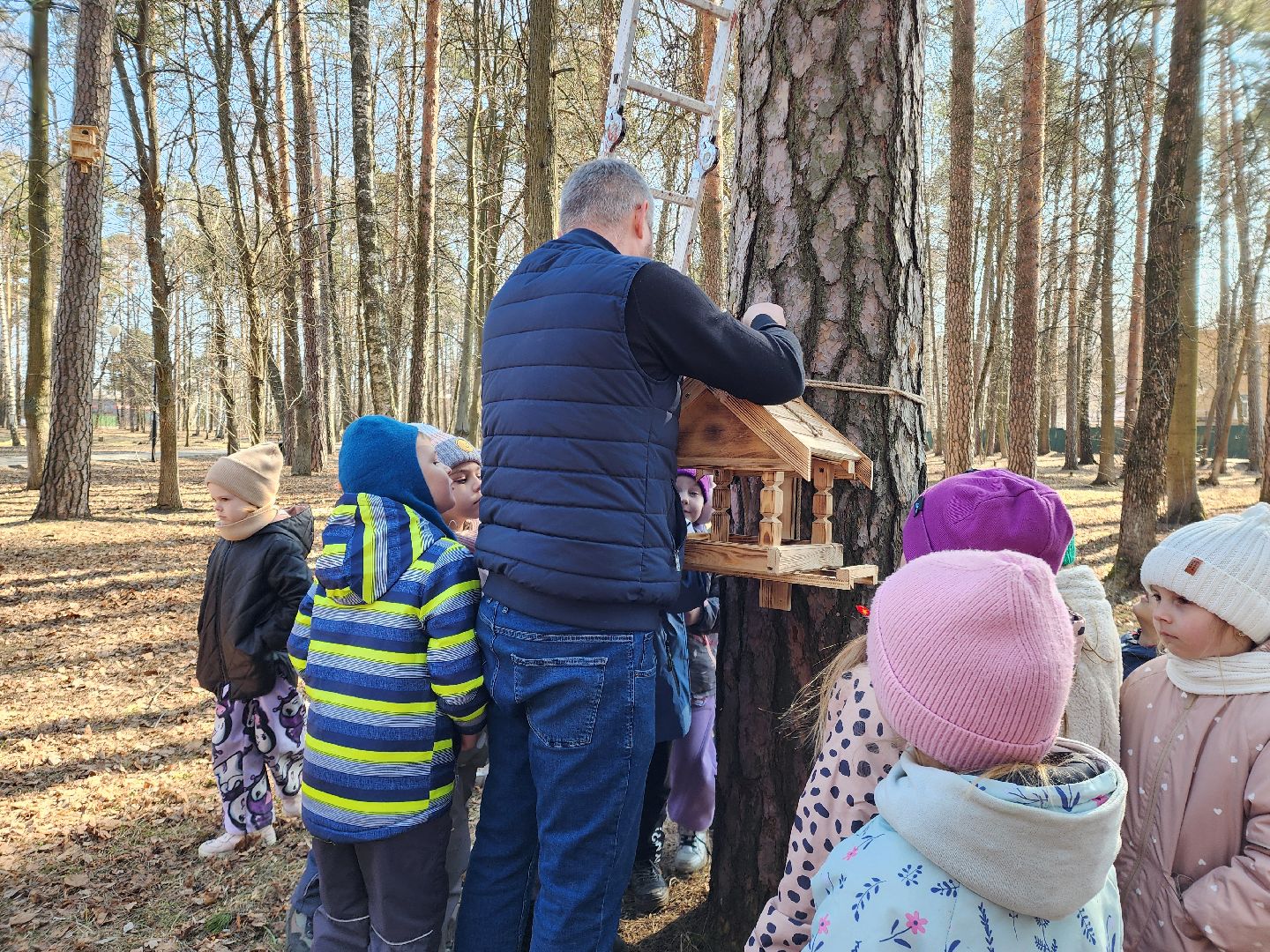белки, природа, беличья тропа, шатурский парк, шатура,