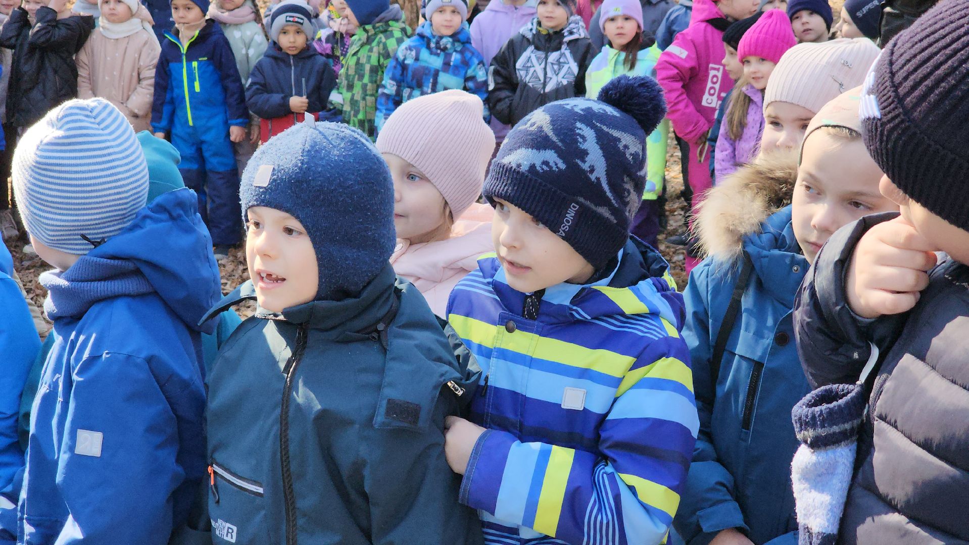 белки, природа, беличья тропа, шатурский парк, шатура,