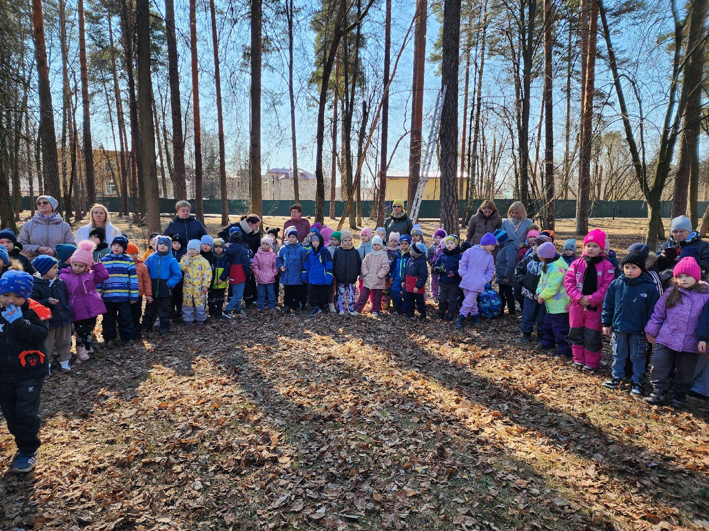 белки, природа, беличья тропа, шатурский парк, шатура,