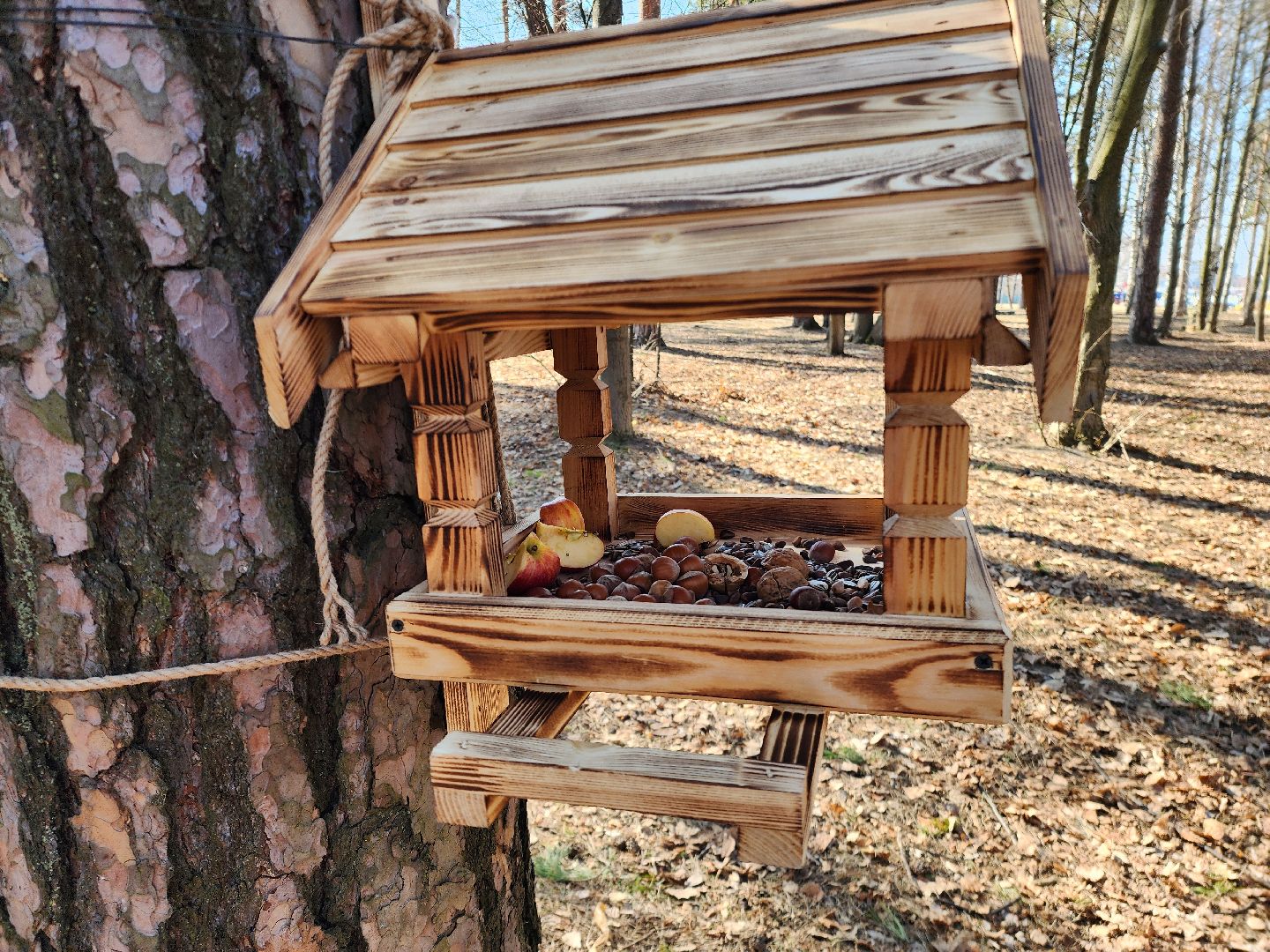 белки, природа, беличья тропа, шатурский парк, шатура,