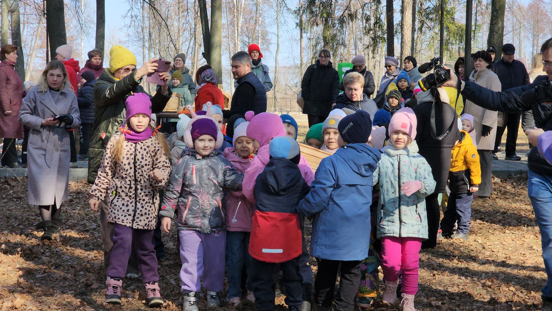 белки, природа, беличья тропа, шатурский парк, шатура,