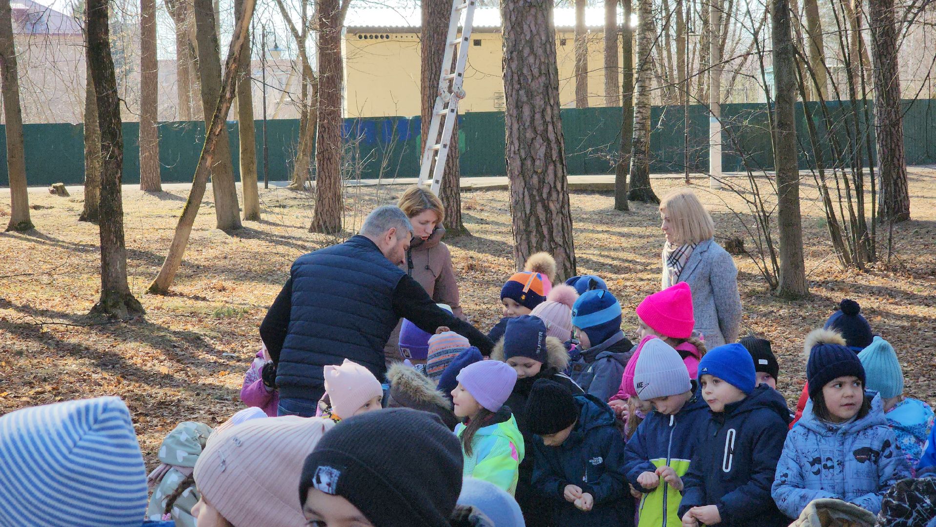 белки, природа, беличья тропа, шатурский парк, шатура,