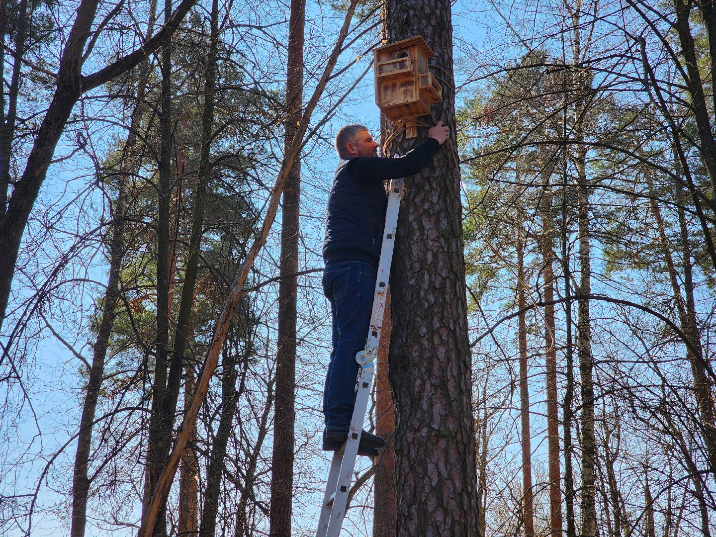 белки, природа, беличья тропа, шатурский парк, шатура,