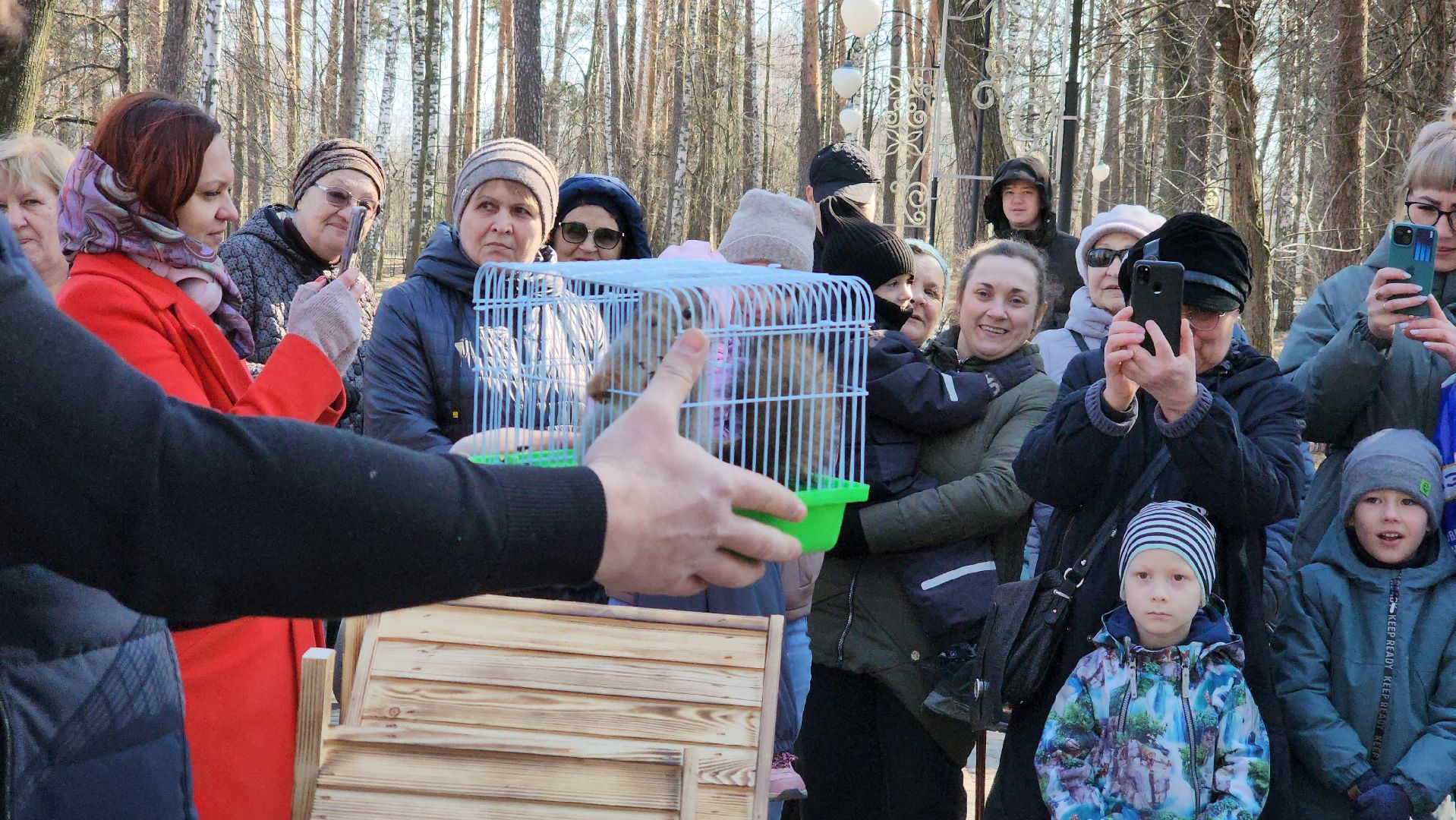 белки, природа, беличья тропа, шатурский парк, шатура,