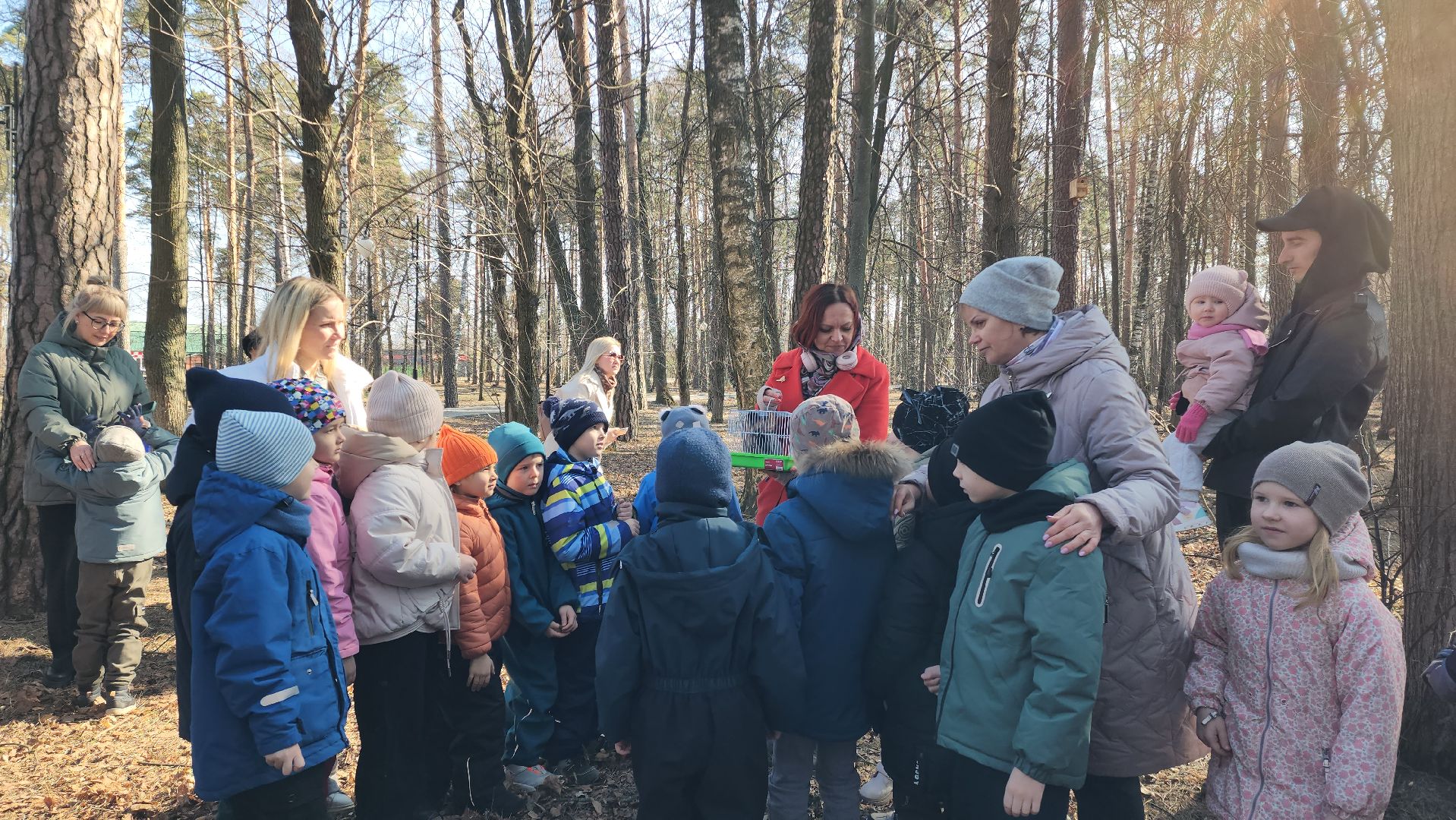 белки, природа, беличья тропа, шатурский парк, шатура,