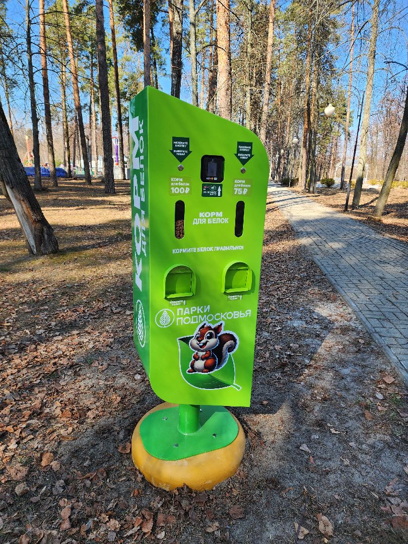 белки, природа, беличья тропа, шатурский парк, шатура,