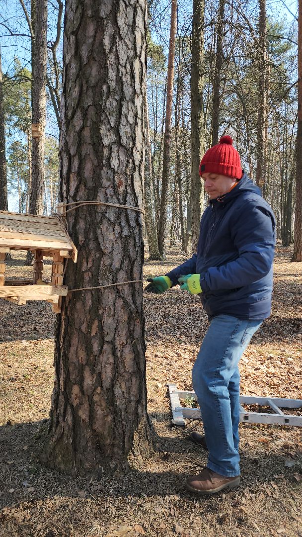 белки, природа, беличья тропа, шатурский парк, шатура,