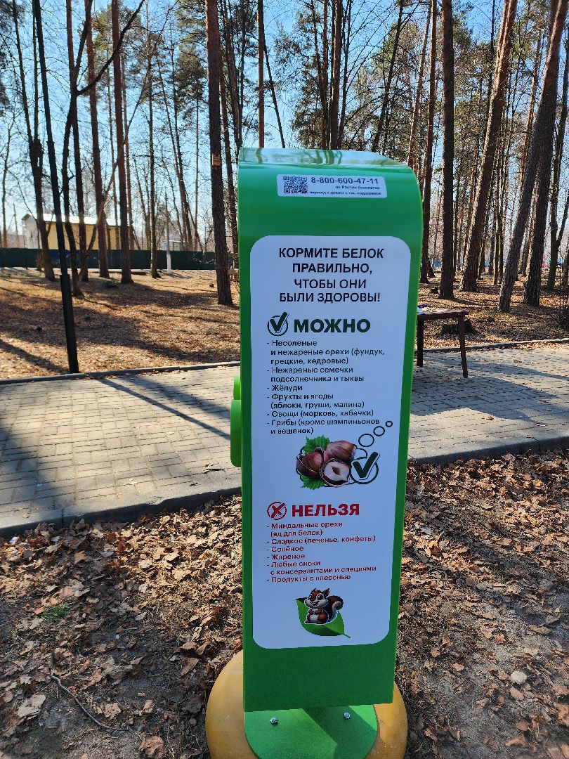 белки, природа, беличья тропа, шатурский парк, шатура,