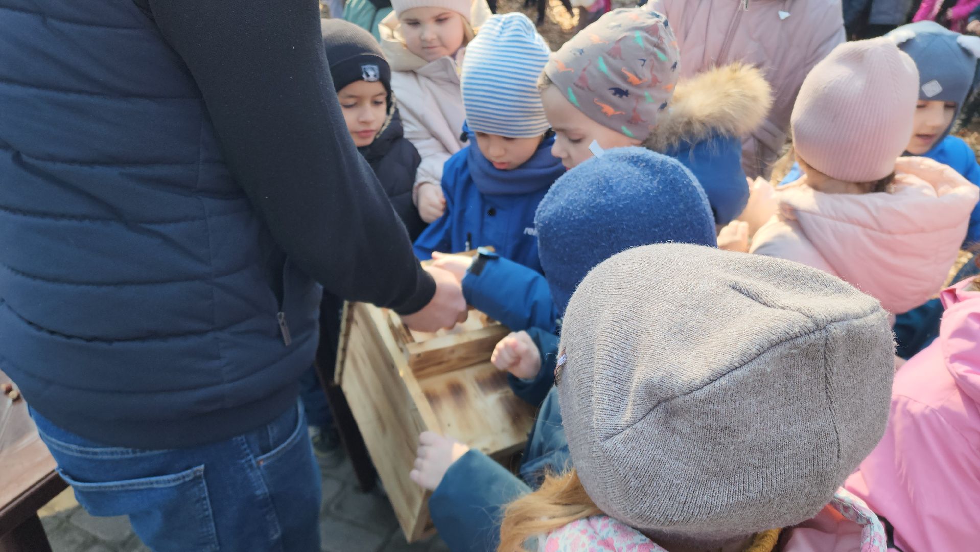 белки, природа, беличья тропа, шатурский парк, шатура,