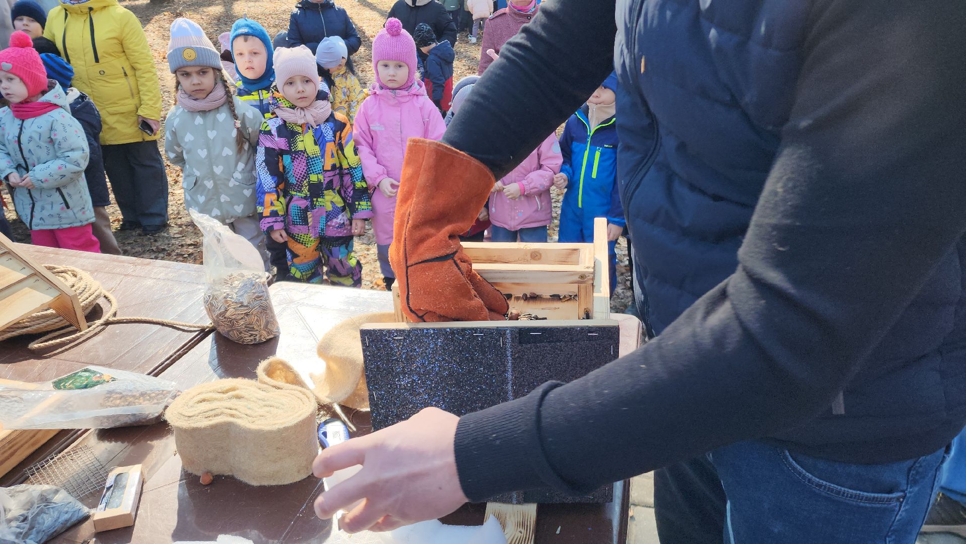 белки, природа, беличья тропа, шатурский парк, шатура,