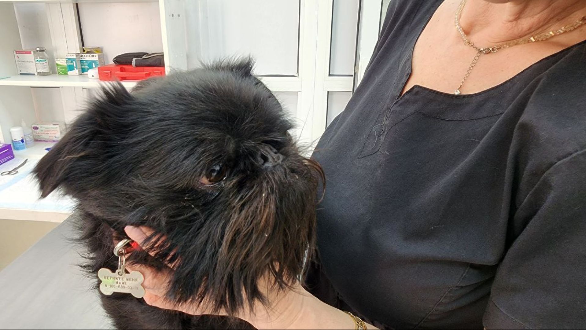 Дмитров, Госветстанция, Минсельхоз, Чипирование собак,