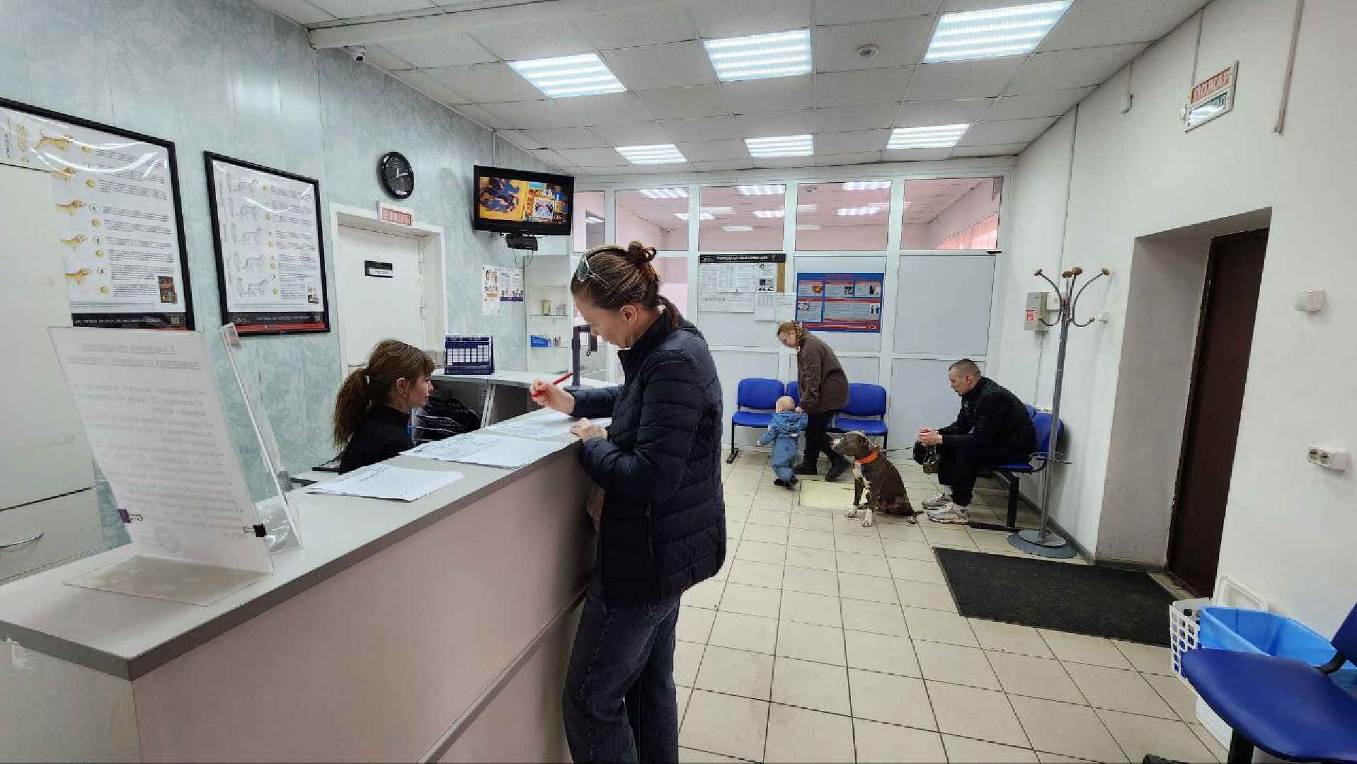 Дмитров, Госветстанция, Минсельхоз, Чипирование собак,