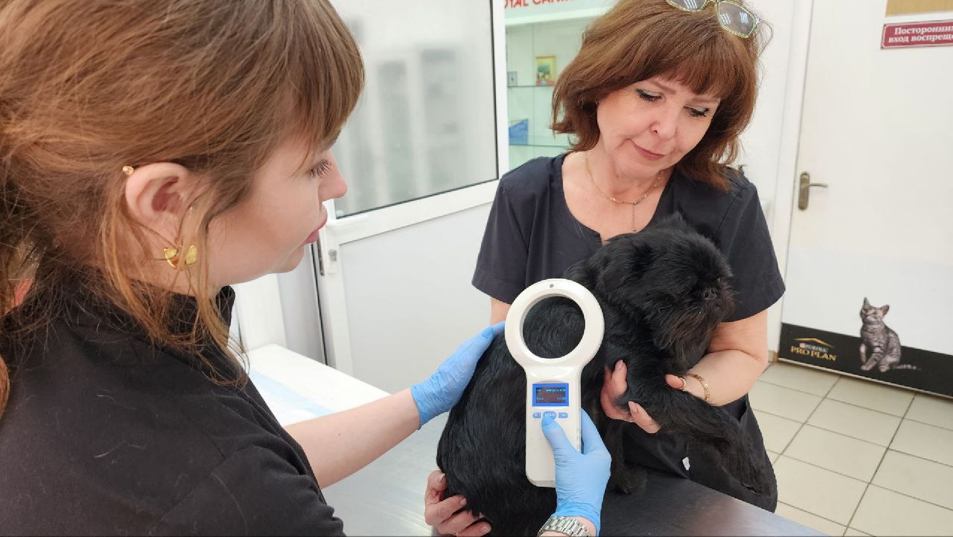 Дмитров, Госветстанция, Минсельхоз, Чипирование собак,