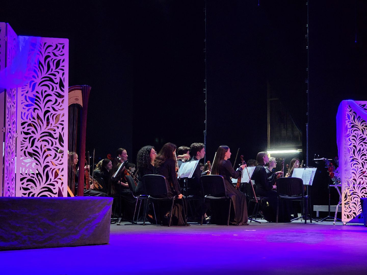 мытищи, культура,