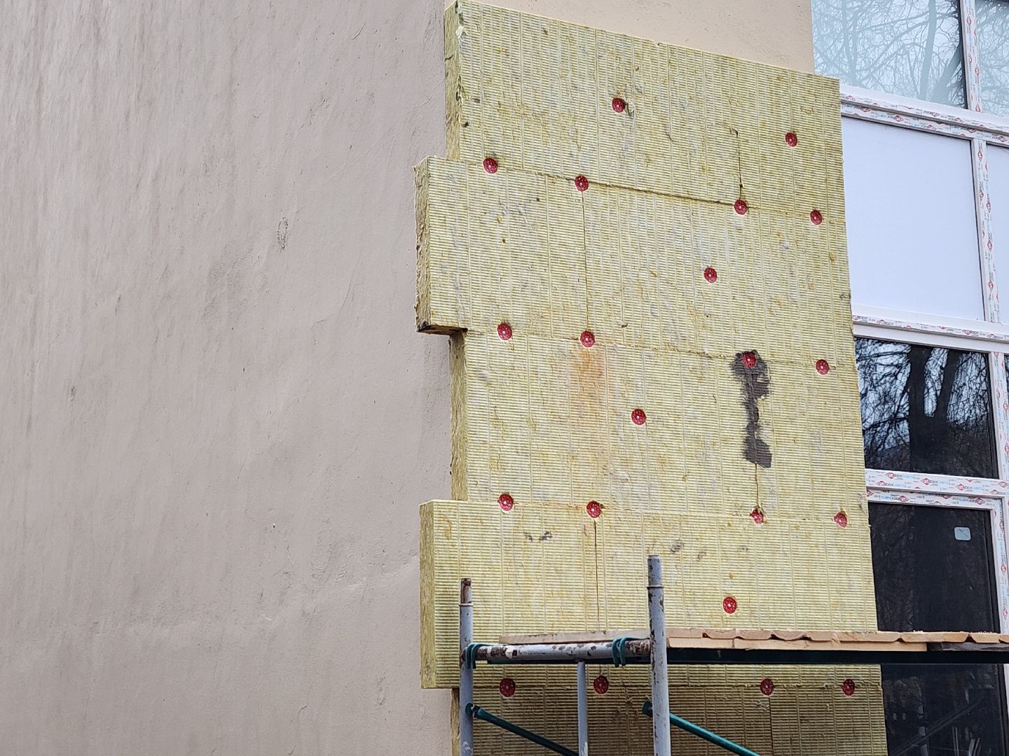 королёв, школа, ремонт, муралы,