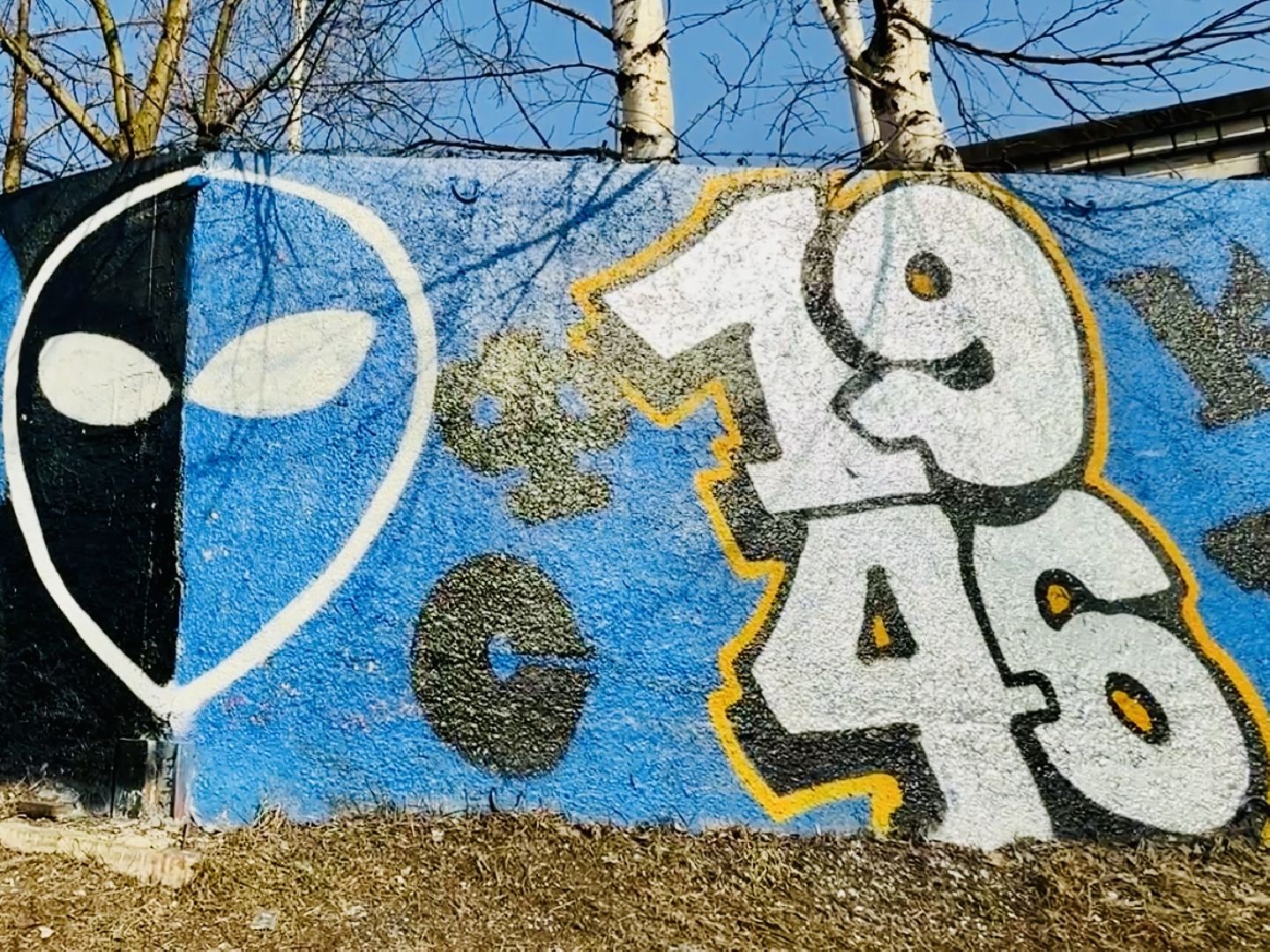 раменское, сатурн, леон сатурн, футбол, футбольные фанаты, граффити,