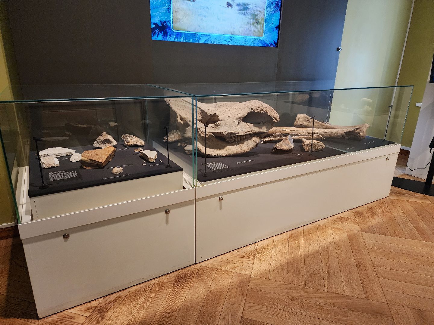 Зарайск, 80-летие победы, Зарайский кремль, Экскурсии для школьников,