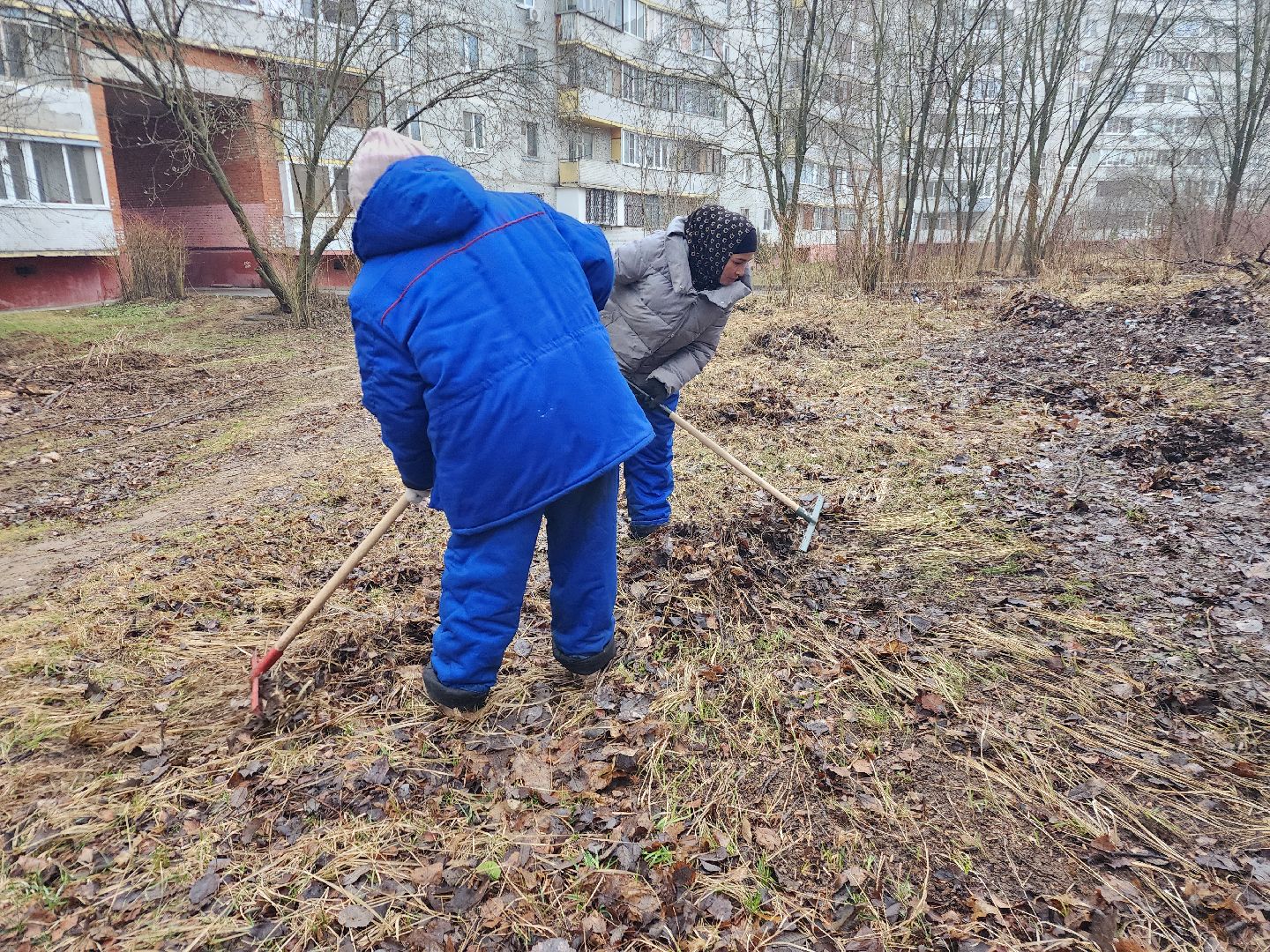 фрязино, уборка улиц, уборка газонов, мбу городское хозяйство,