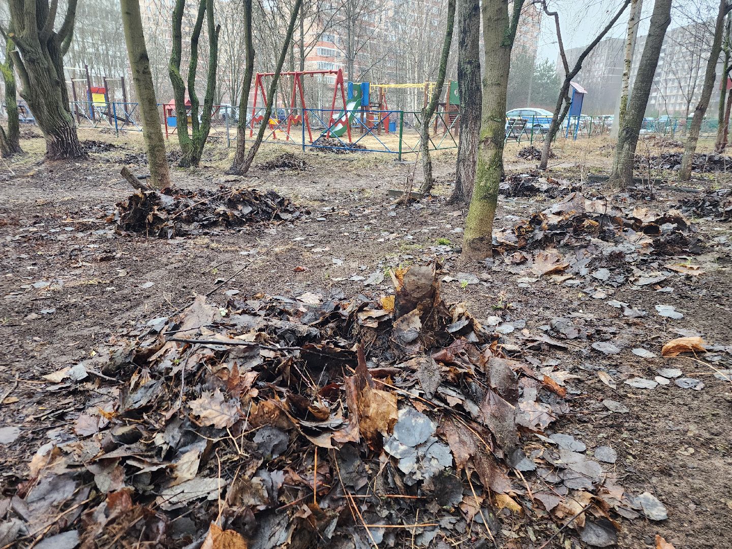 фрязино, уборка улиц, уборка газонов, мбу городское хозяйство,