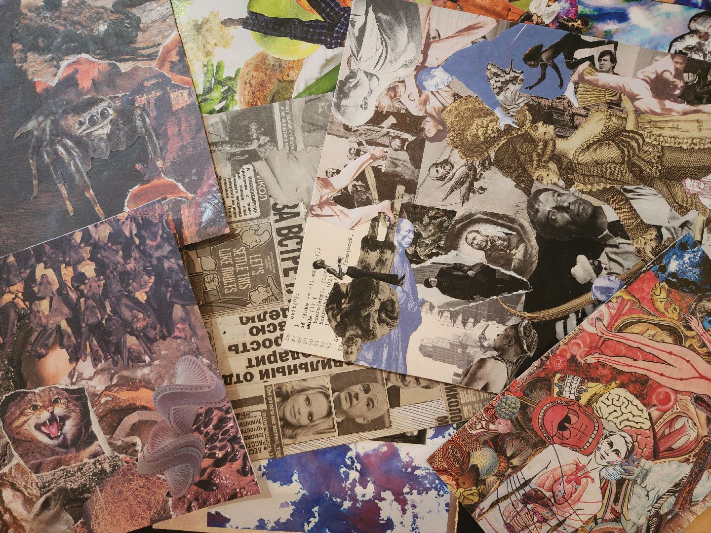 дубна, дк мир, дом культуры, выставка, оияи,