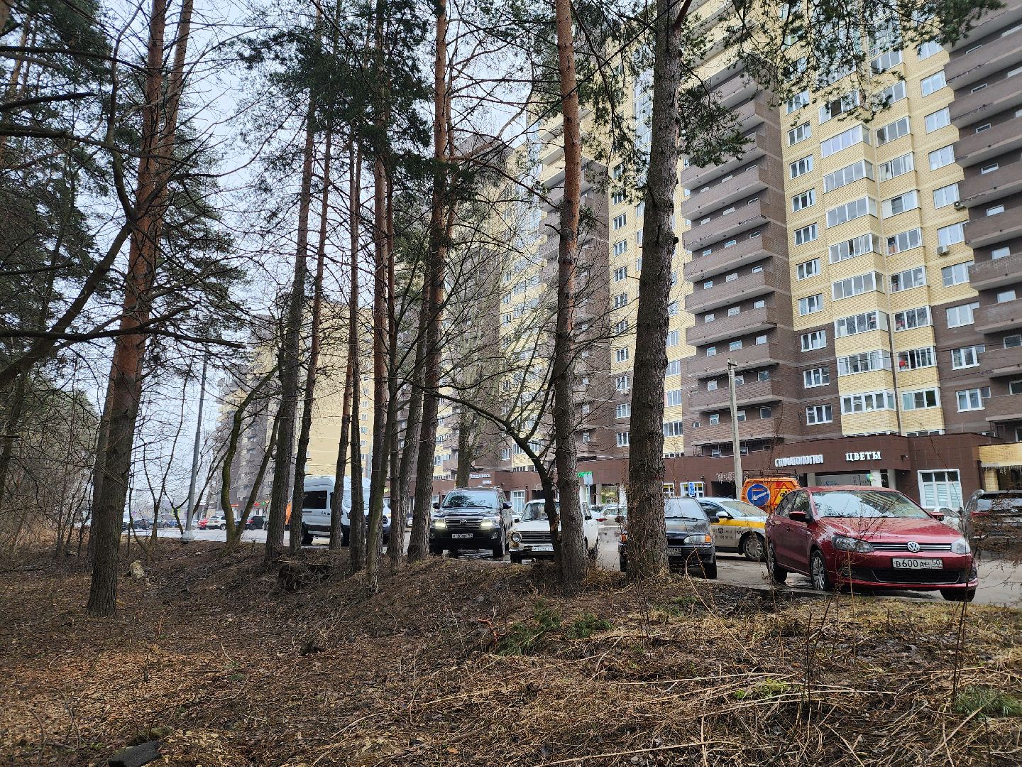 ногинск, строительство, благоустройство, жители, церковь, новый собор,