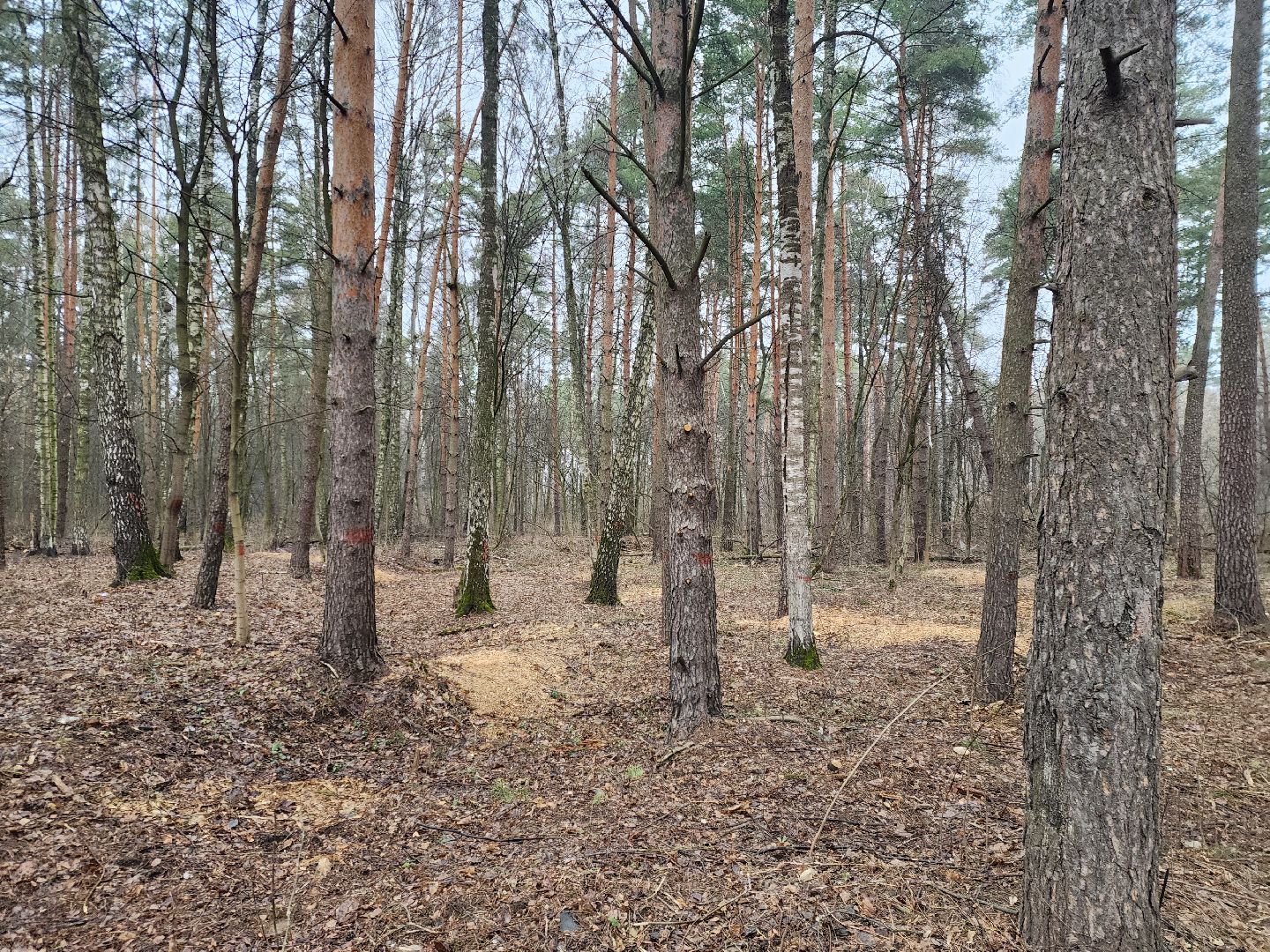 ногинск, строительство, благоустройство, жители, церковь, новый собор,