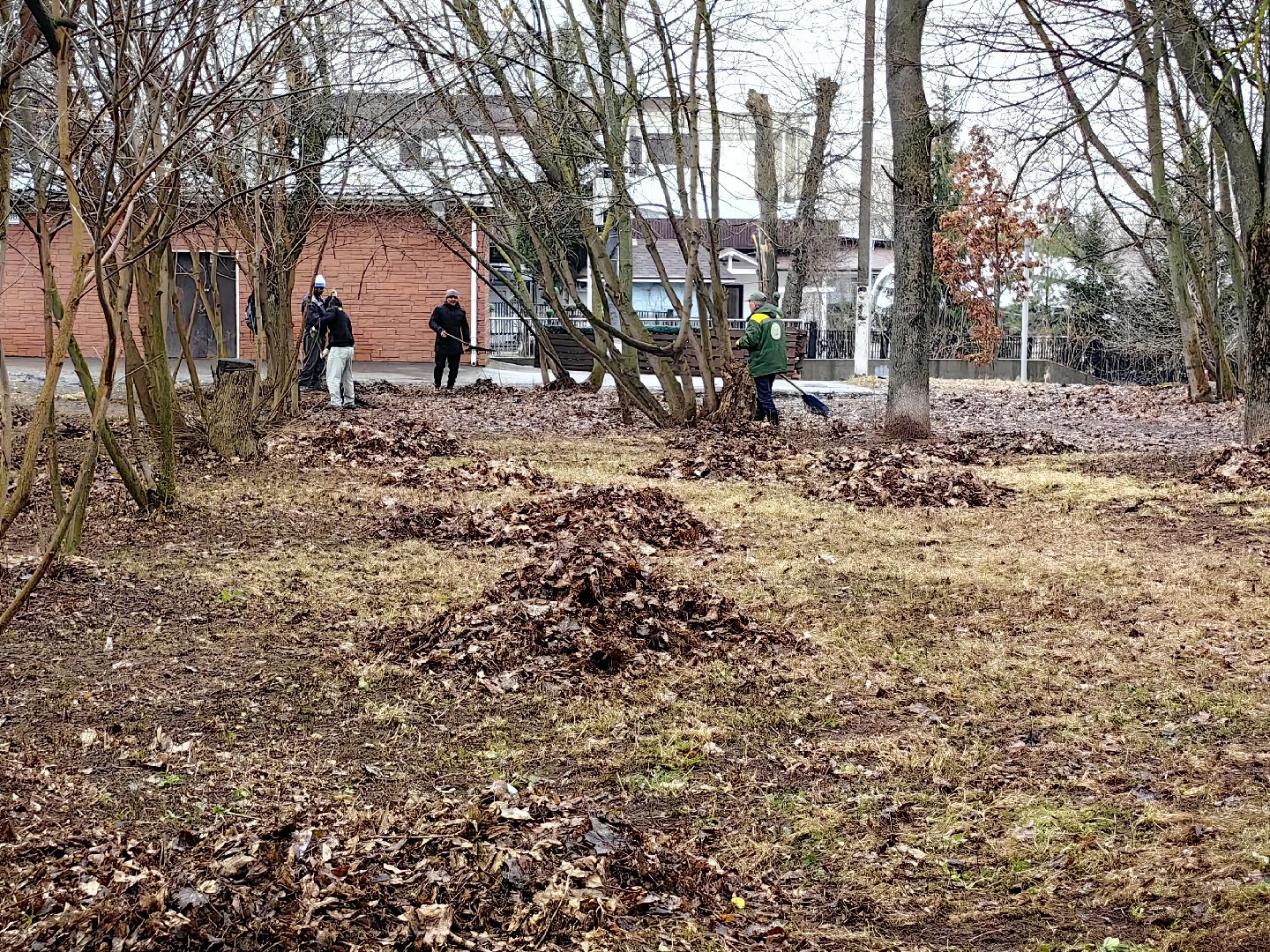 мусор, листва, мешки, набережная, коммунальщики,