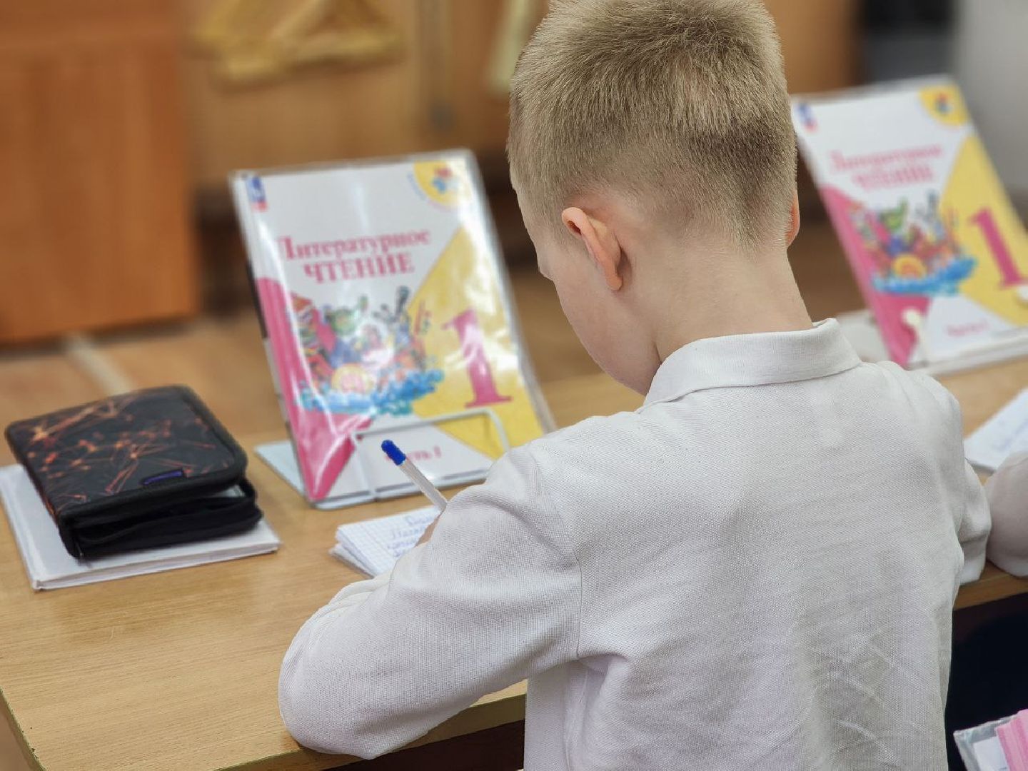 воскресенск, образование, запись в первый класс,