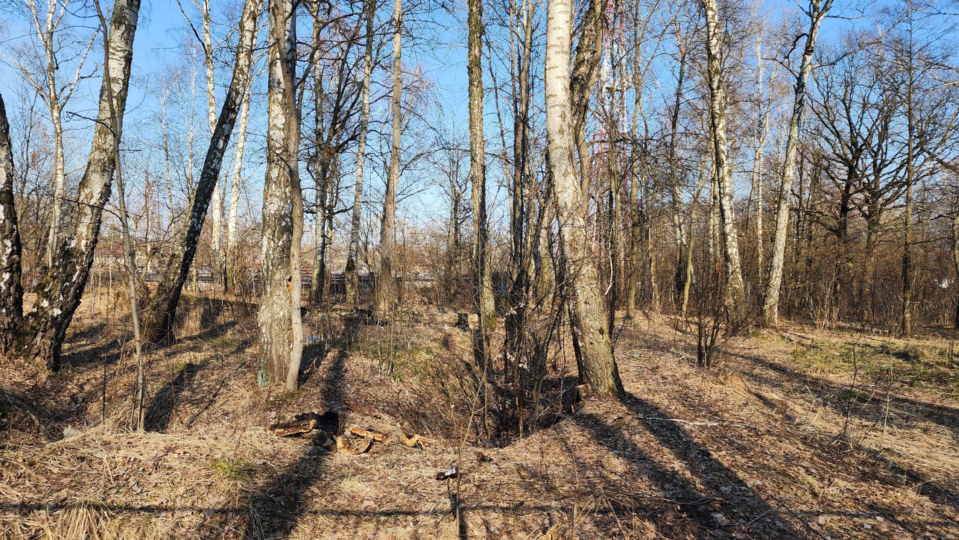 ступино, парки подмосковья, победа, 80 лет победы,
