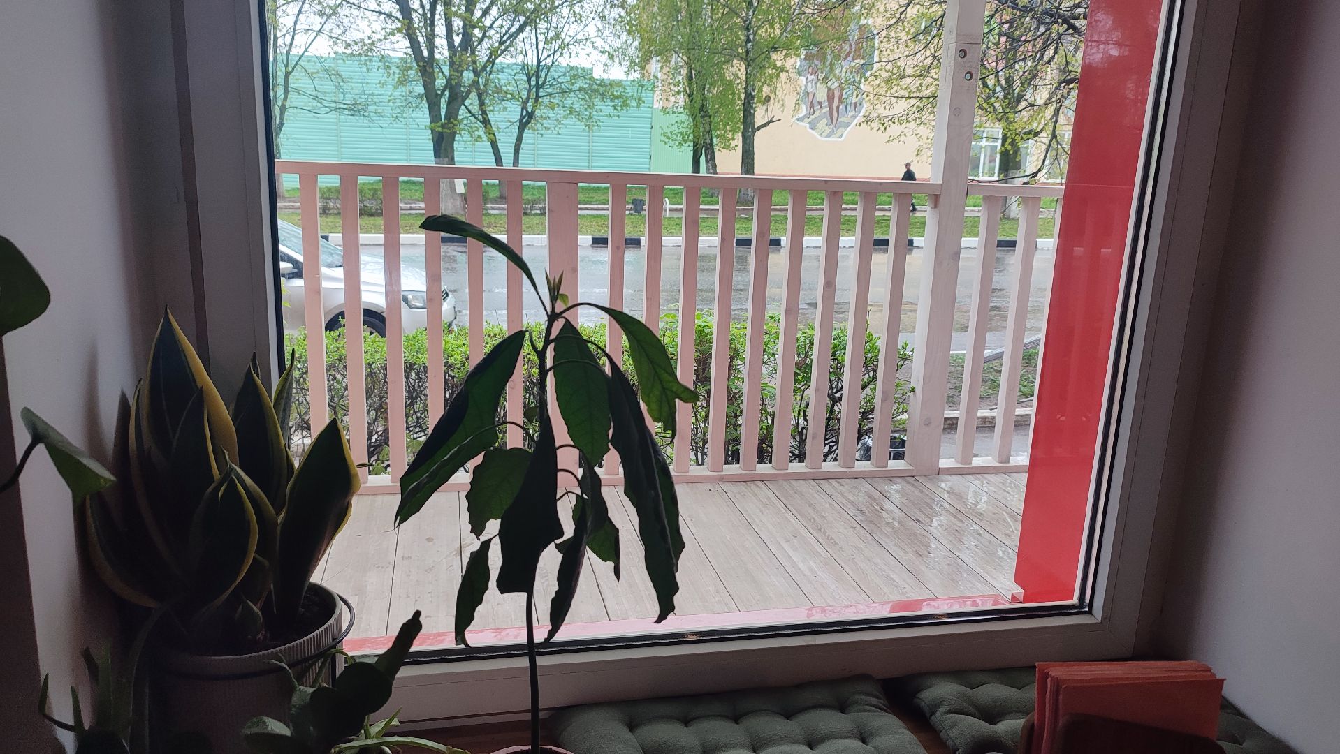 Кашира, общественное питание, пиццерия, кофе, кафе