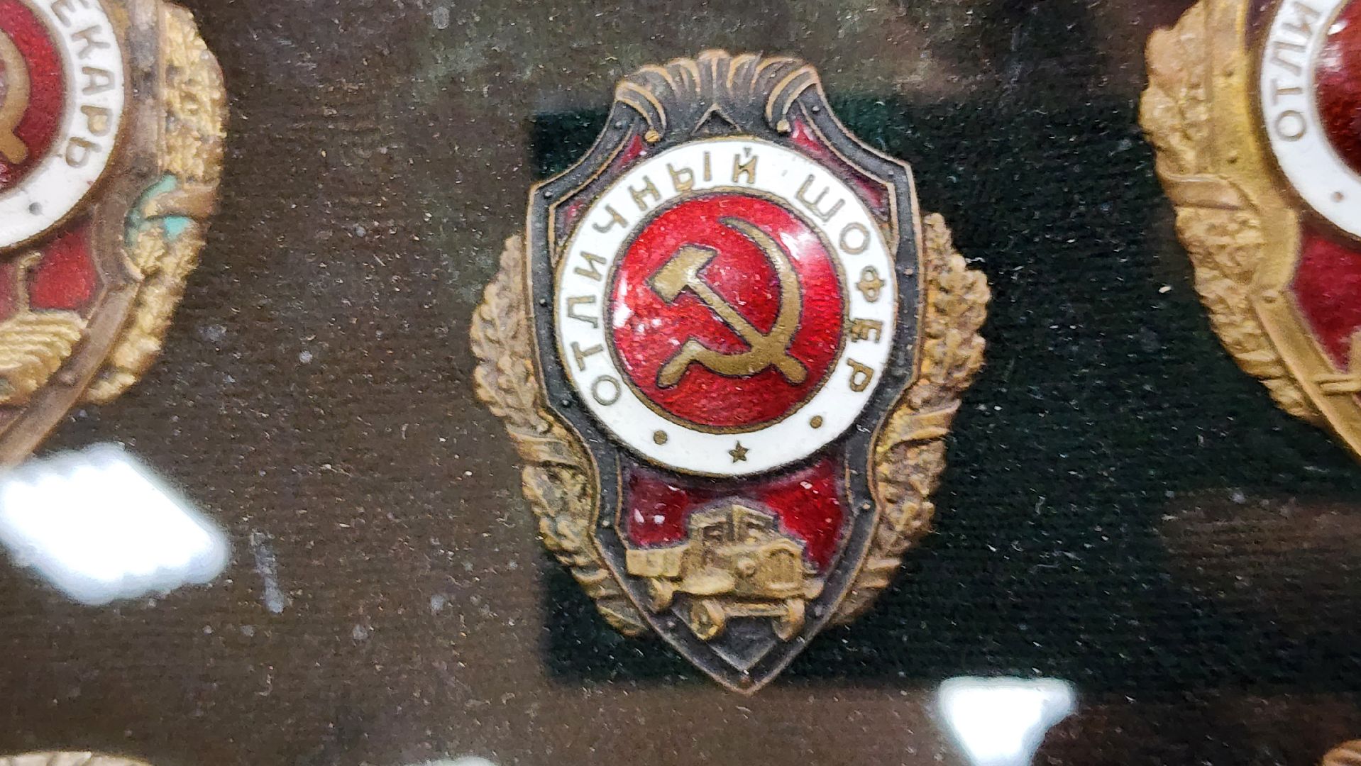 выставка, фалеристика, центр образования, Ногинск, Богородский городской округ,