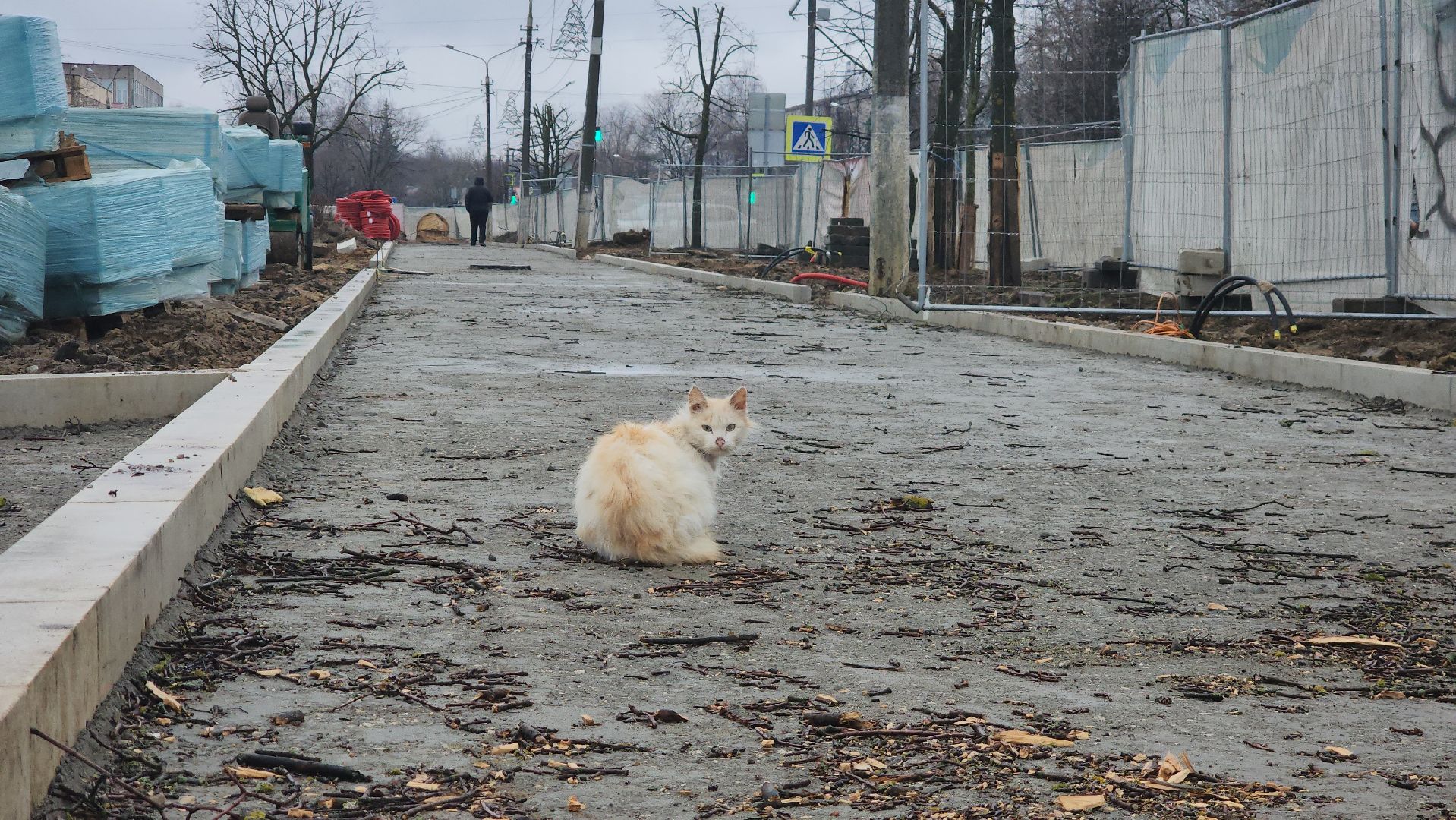 Егорьевск, ПОдмосковье, Московская область, благоустройство,