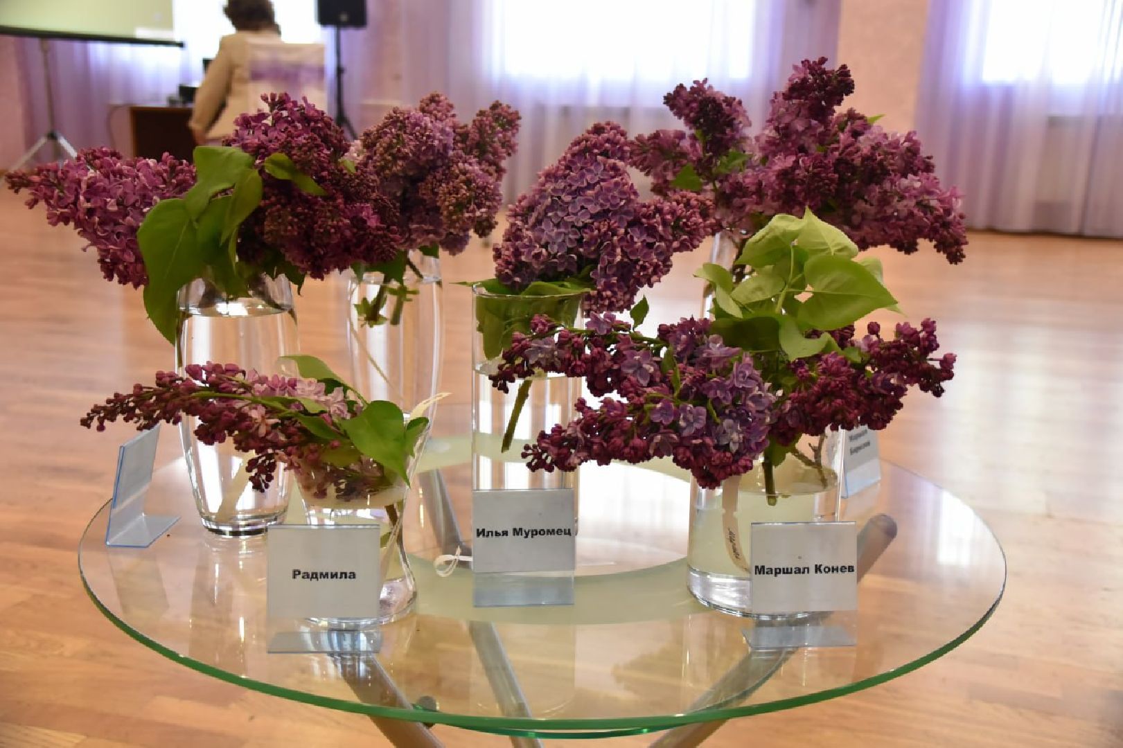 Подольск, фестиваль