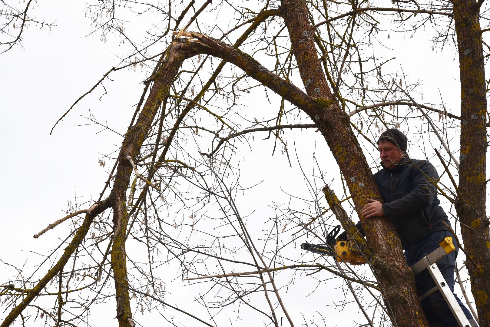 лотошино, благоустройство, савостино, выездная администрация, обращения жителей,