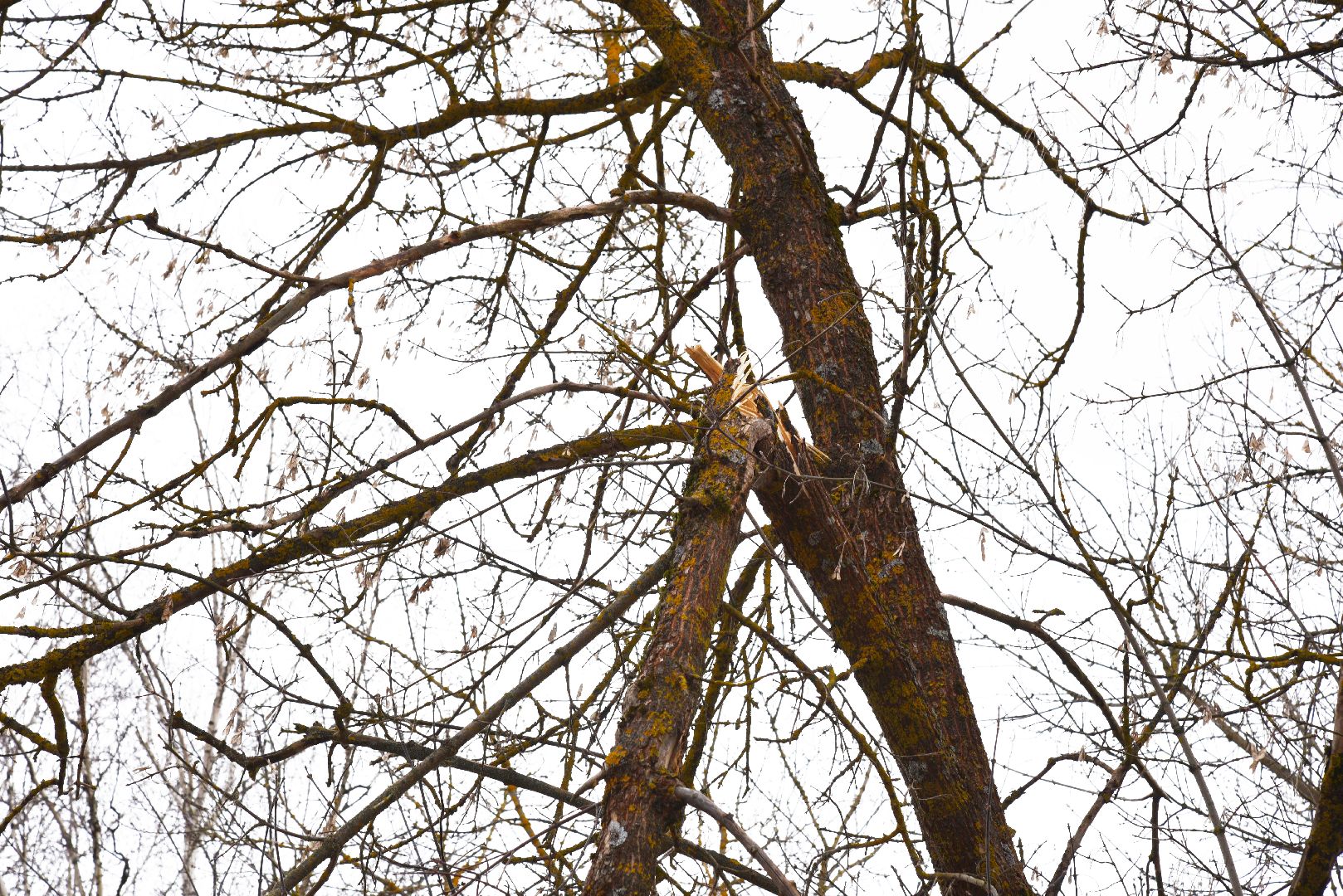 лотошино, благоустройство, савостино, выездная администрация, обращения жителей,