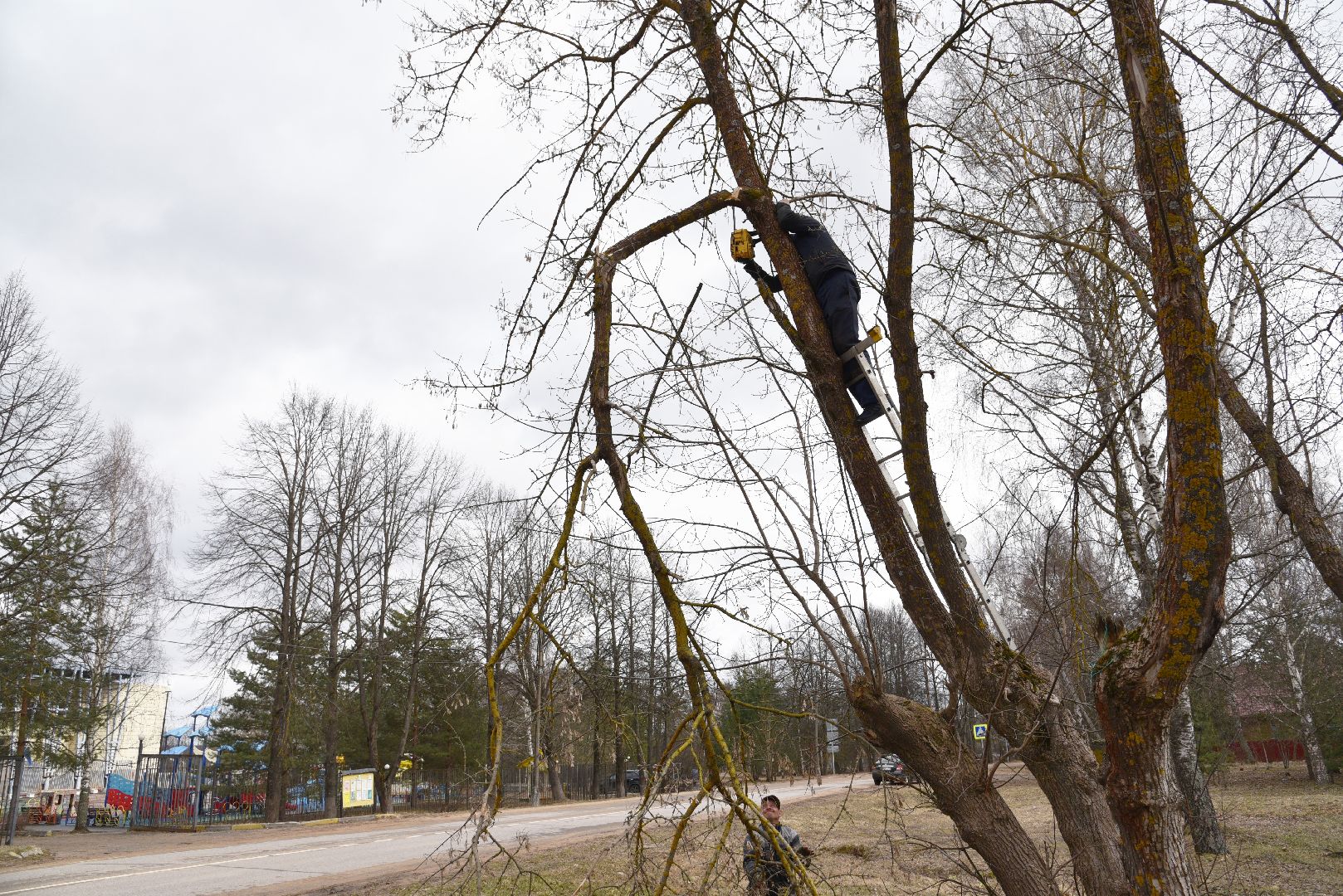лотошино, благоустройство, савостино, выездная администрация, обращения жителей,