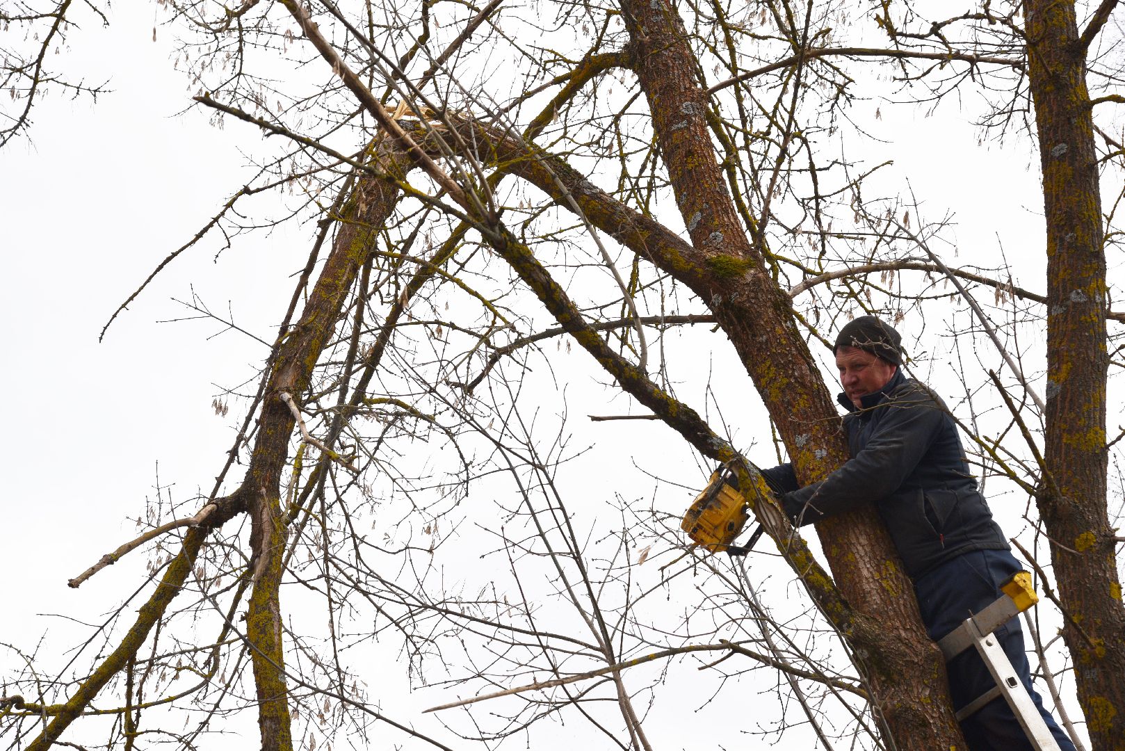 лотошино, благоустройство, савостино, выездная администрация, обращения жителей,