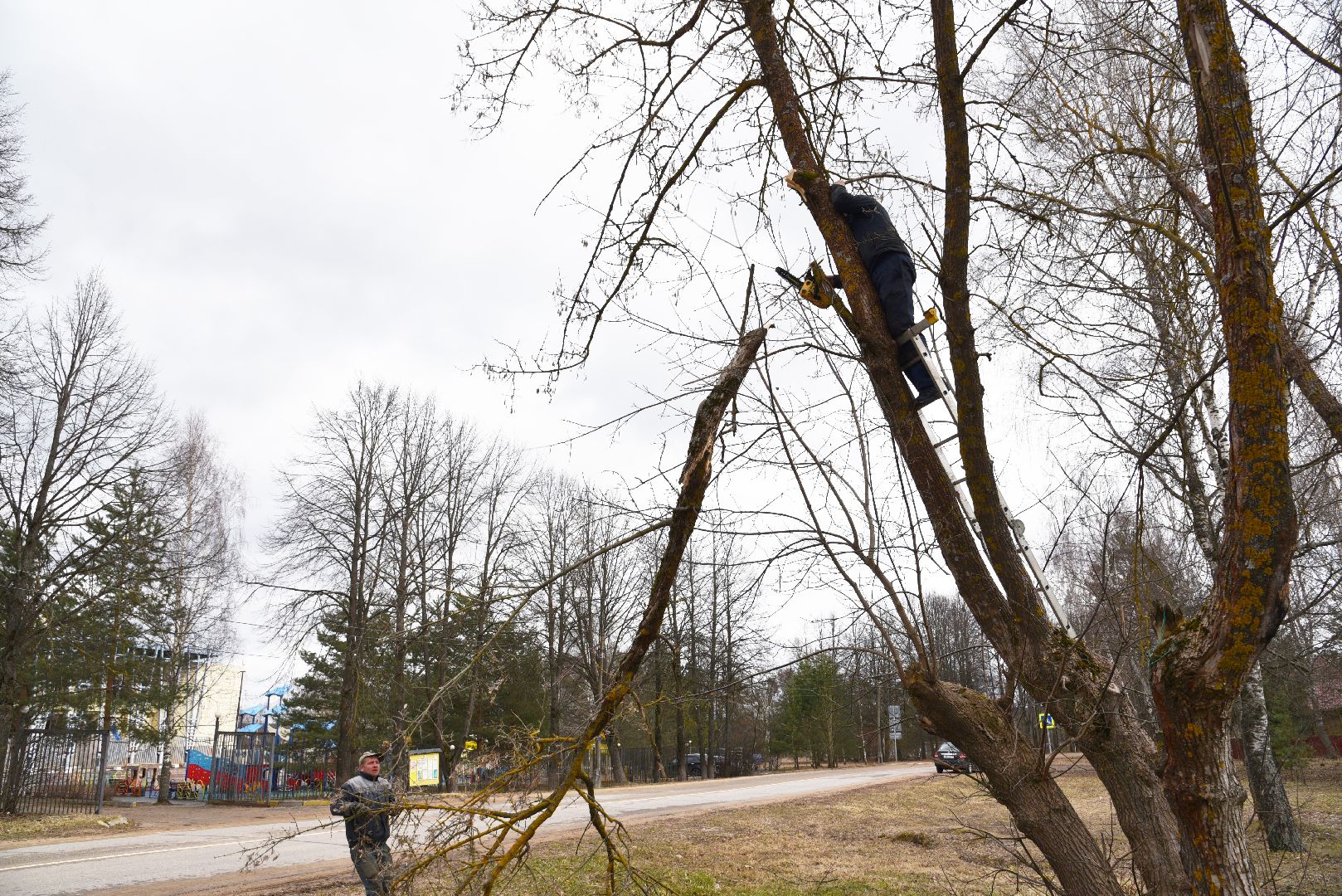 лотошино, благоустройство, савостино, выездная администрация, обращения жителей,