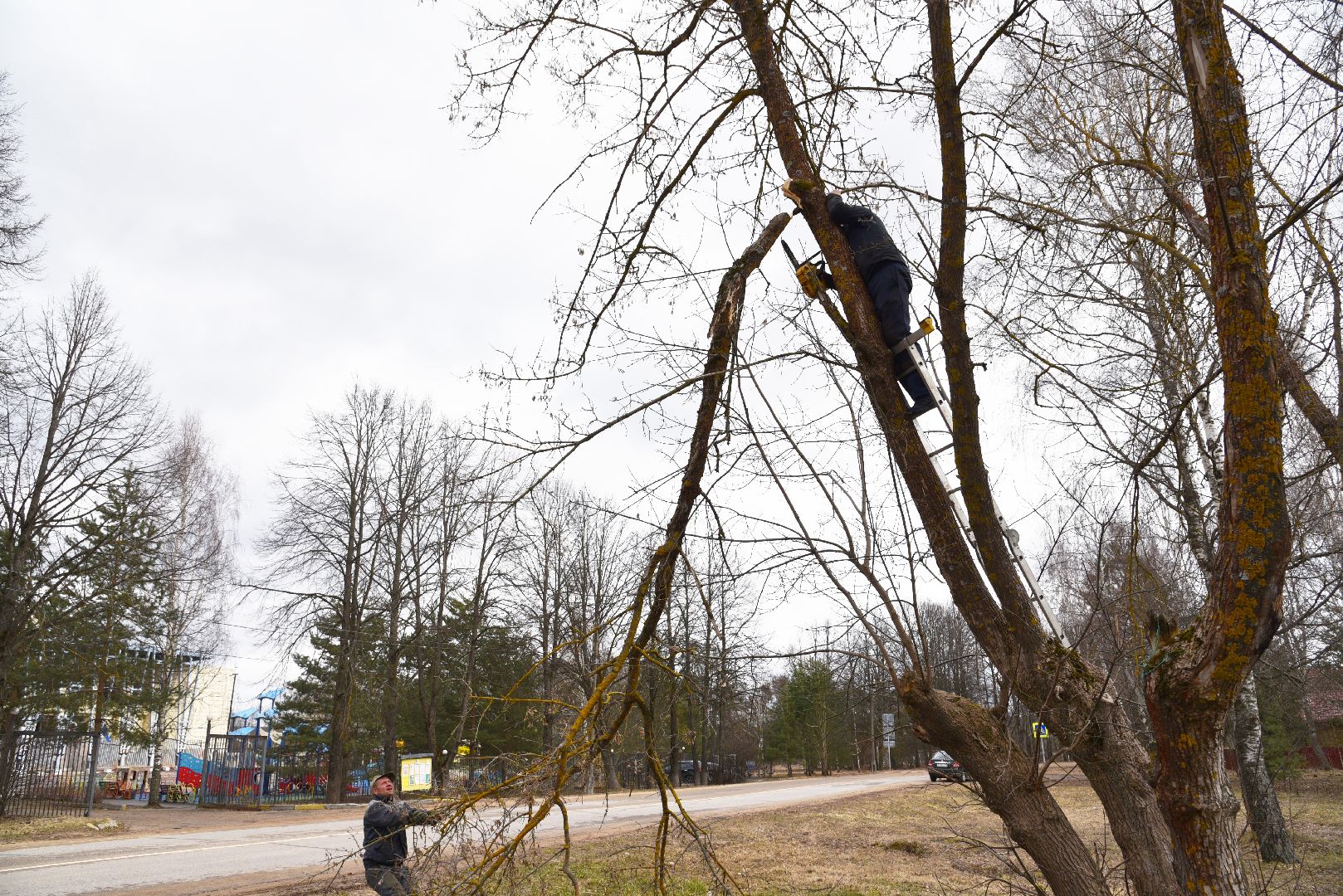 лотошино, благоустройство, савостино, выездная администрация, обращения жителей,
