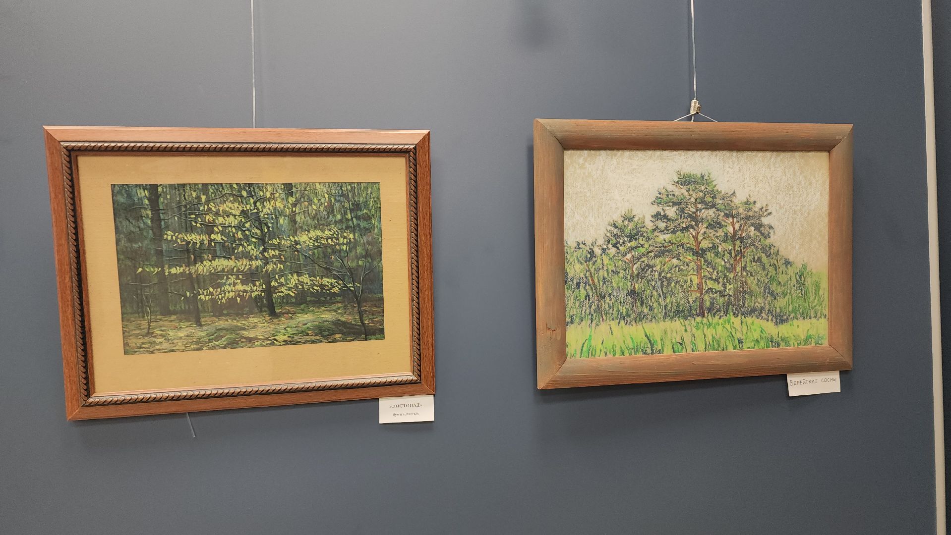 художественная выставка, художник, ивантеевка, библиотека, гобелен, картины маслом, пастель,