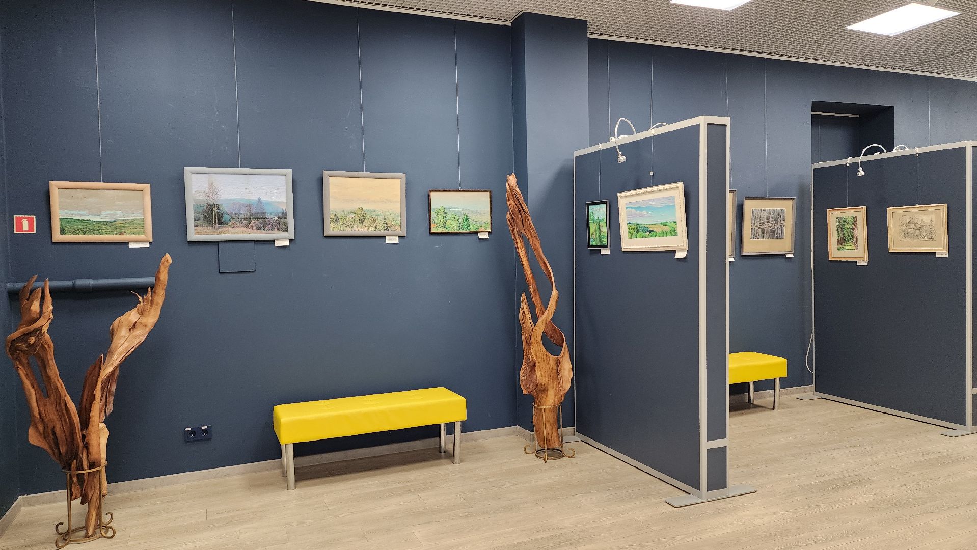 художественная выставка, художник, ивантеевка, библиотека, гобелен, картины маслом, пастель,