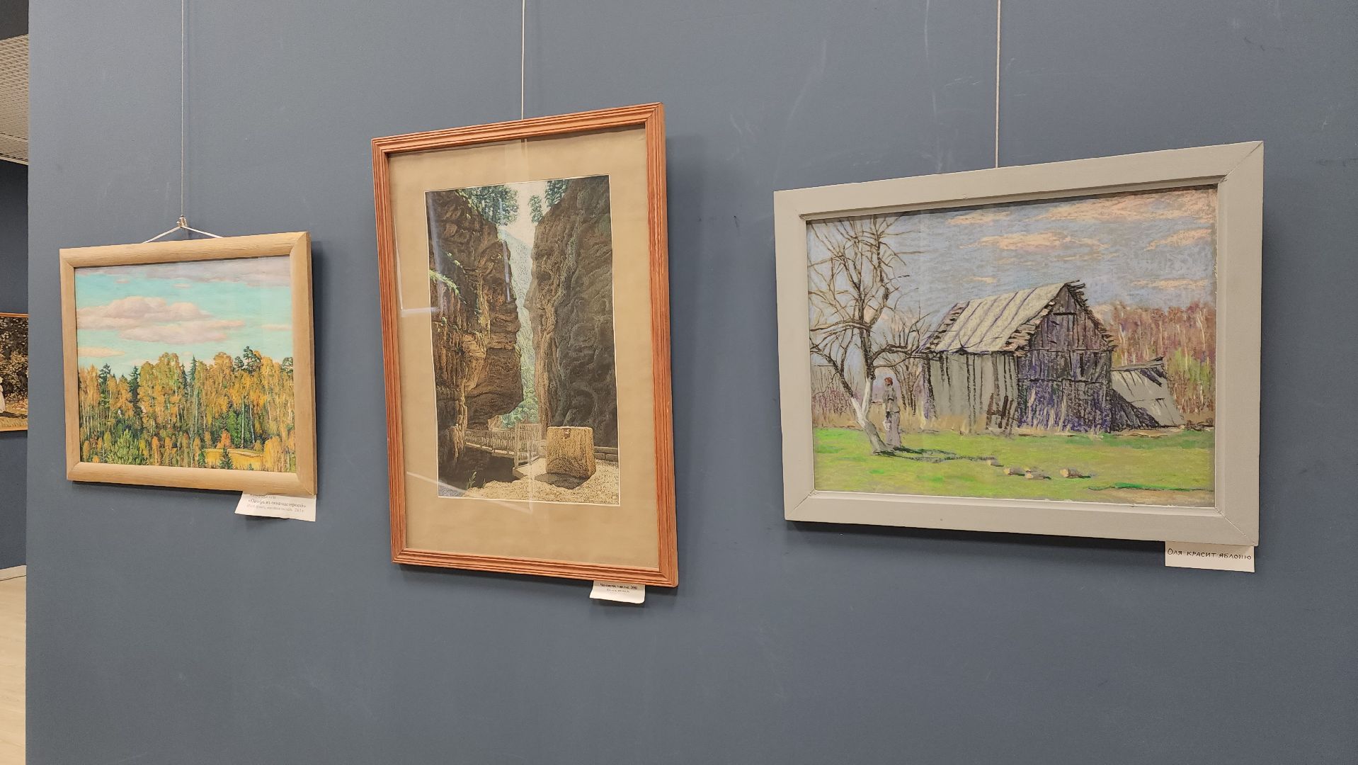 художественная выставка, художник, ивантеевка, библиотека, гобелен, картины маслом, пастель,