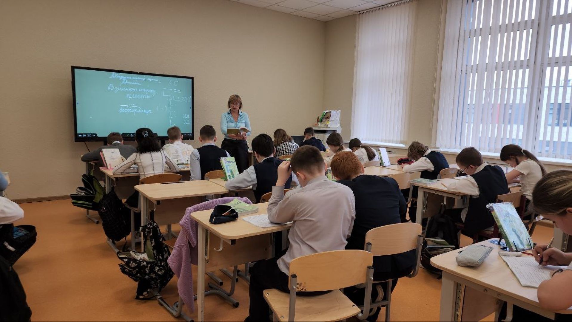 Школа, Истра, 1 класс, Образование,