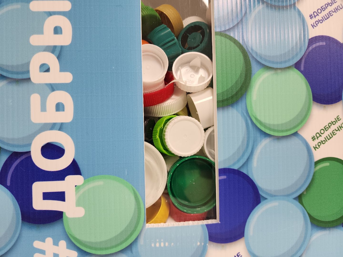 Черноголовка, добрые крышечки, эко акция,