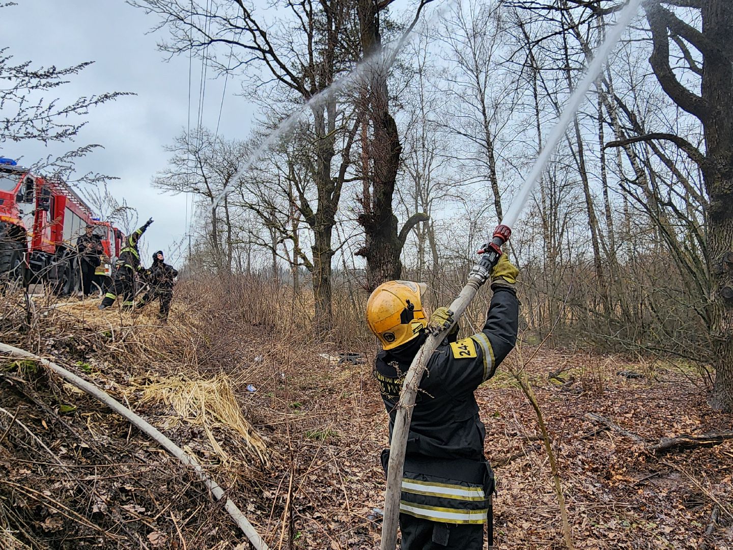 фрязино, пожарные учения, пожароопасный сезон, мчс, лесная охрана,