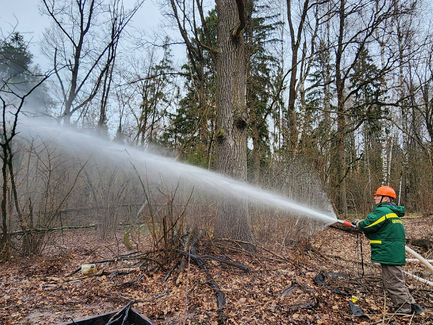 фрязино, пожарные учения, пожароопасный сезон, мчс, лесная охрана,